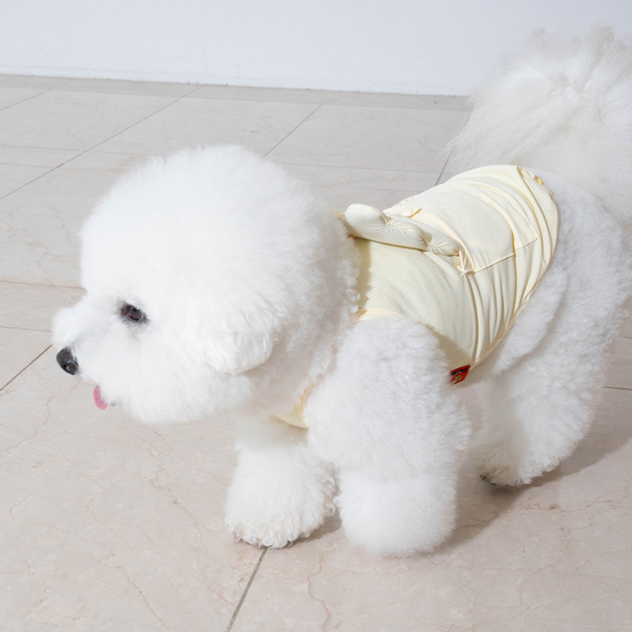 Dog Cooling Tank Top – Big Bear Lemonade