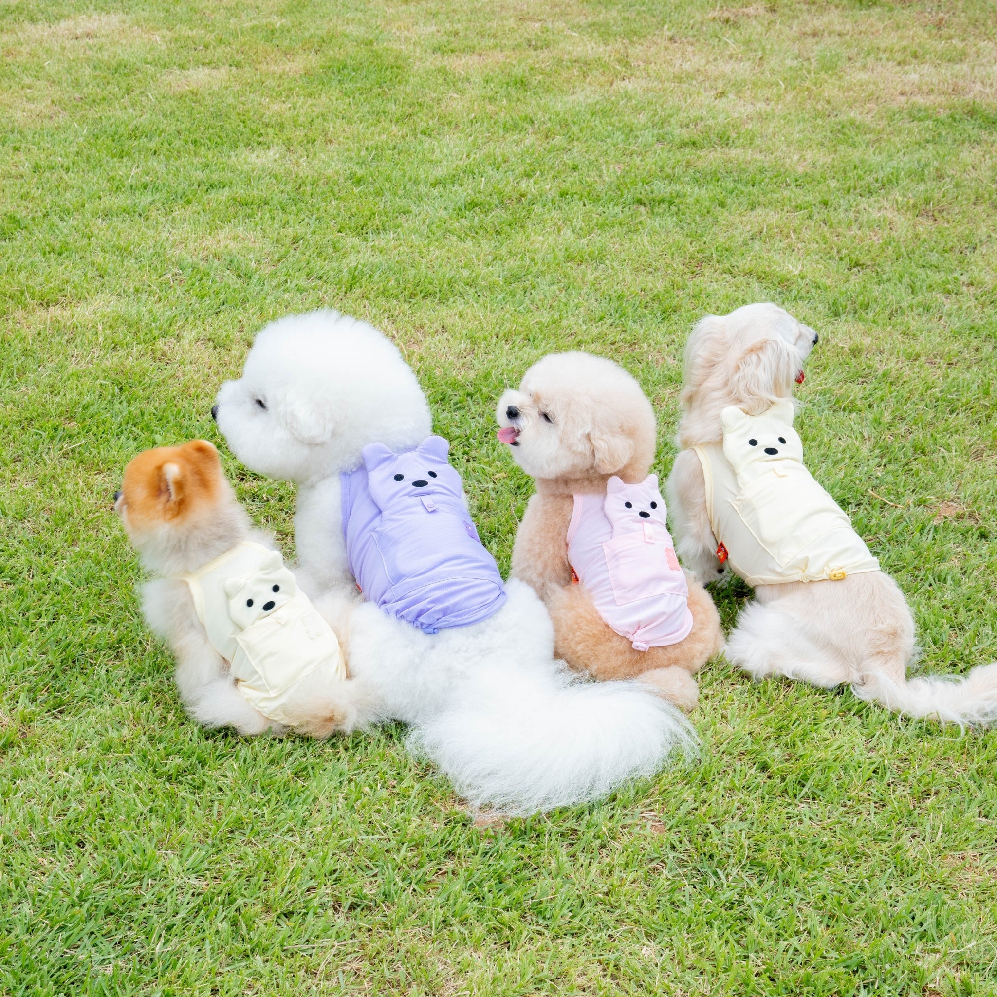 Dog Cooling Tank Top – Big Bear Lavender