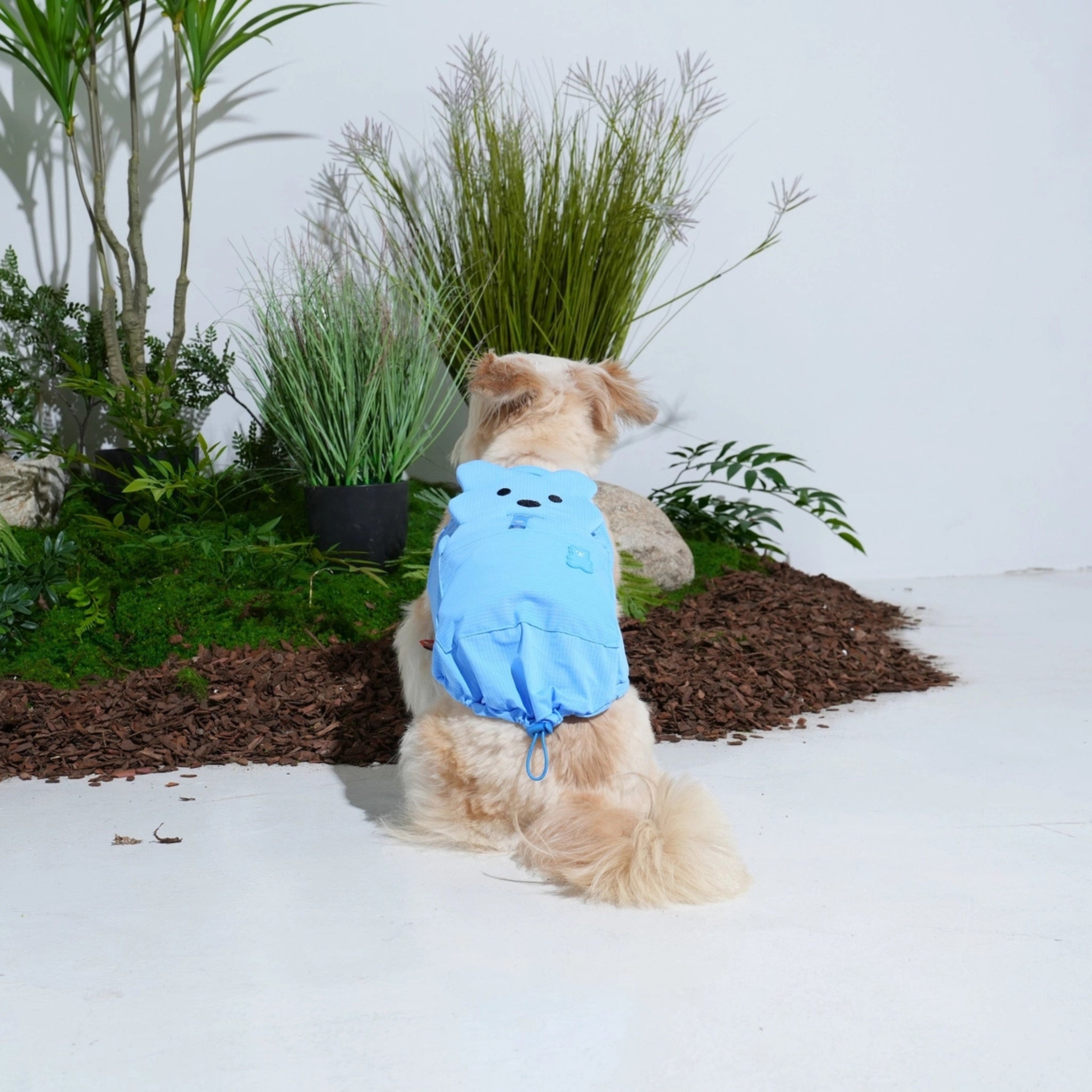 Gilet Rafraîchissant pour Chien – Big Bear Blue