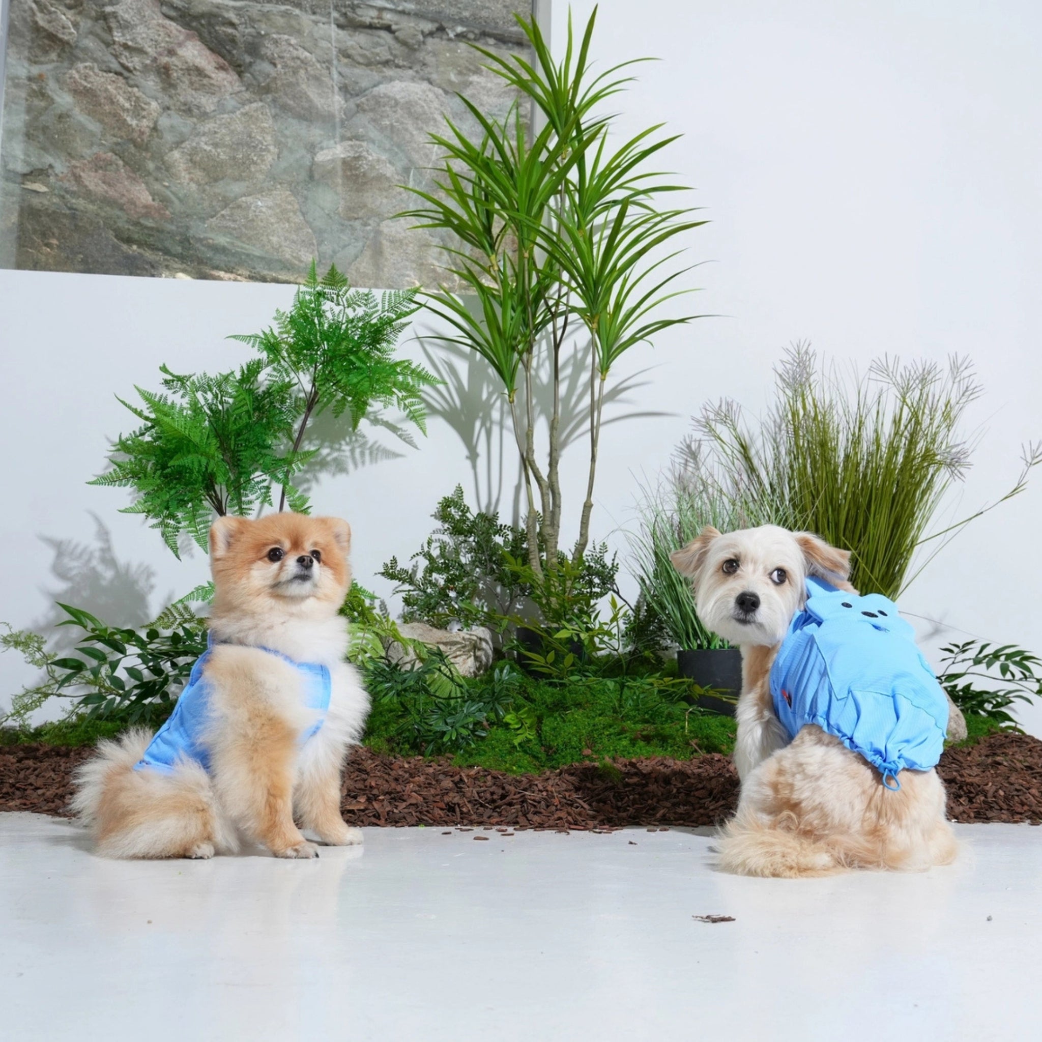 Gilet Rafraîchissant pour Chien – Big Bear Blue