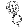 Black and white line drawing of a beetroot