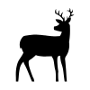 Venison Icon
