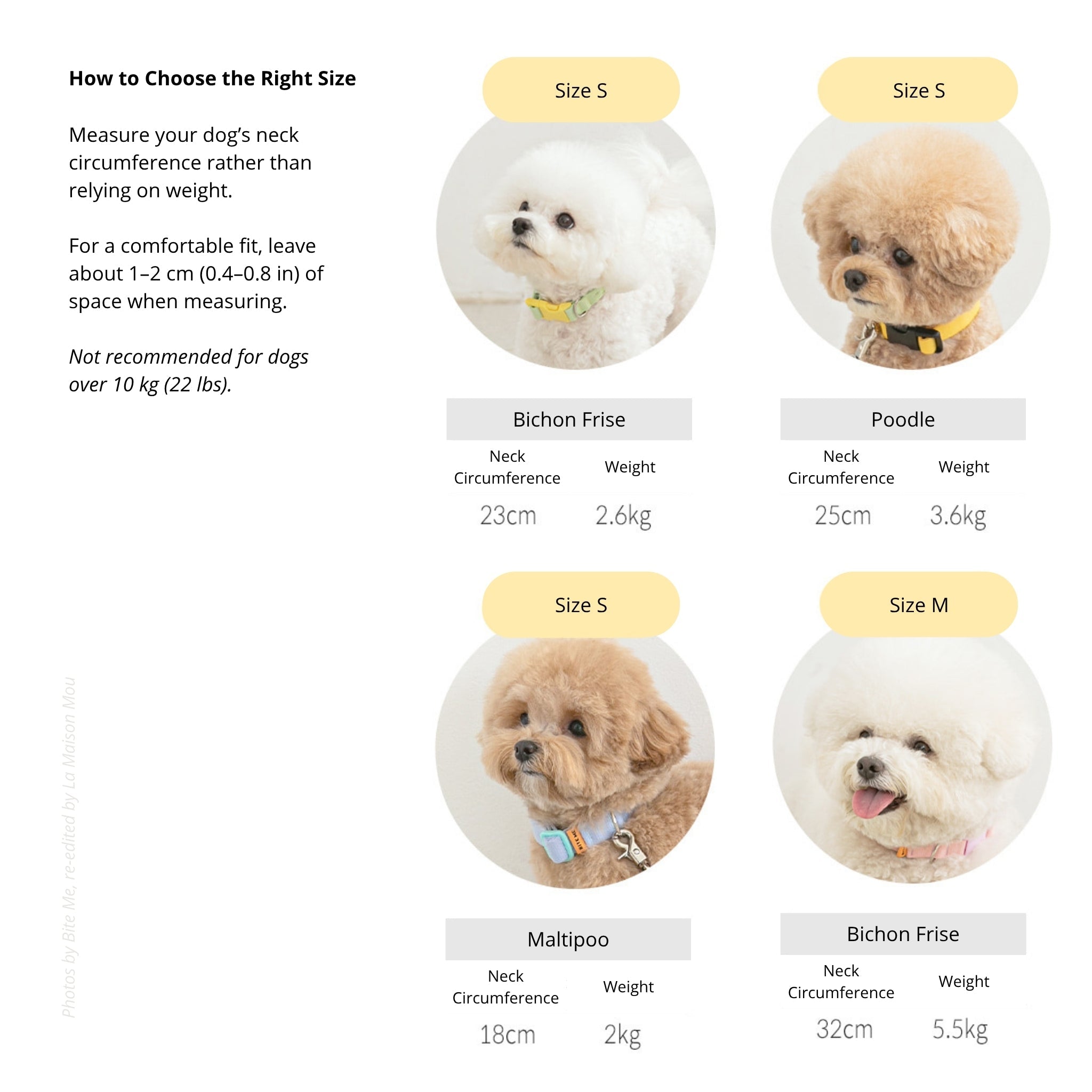 A sizing guide graphic for the Bite Me Candy Crayon dog collar with tips on choosing the right size, featuring small dog breed models including a Bichon Frise, Poodle, and Maltipoo with their neck circumferences and weights.