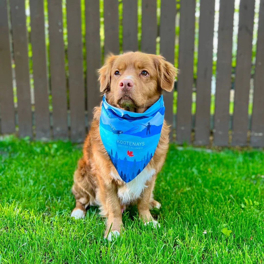 Dog Bandana - Kootenay - Rocky Mountain Dog - La Maison Mou