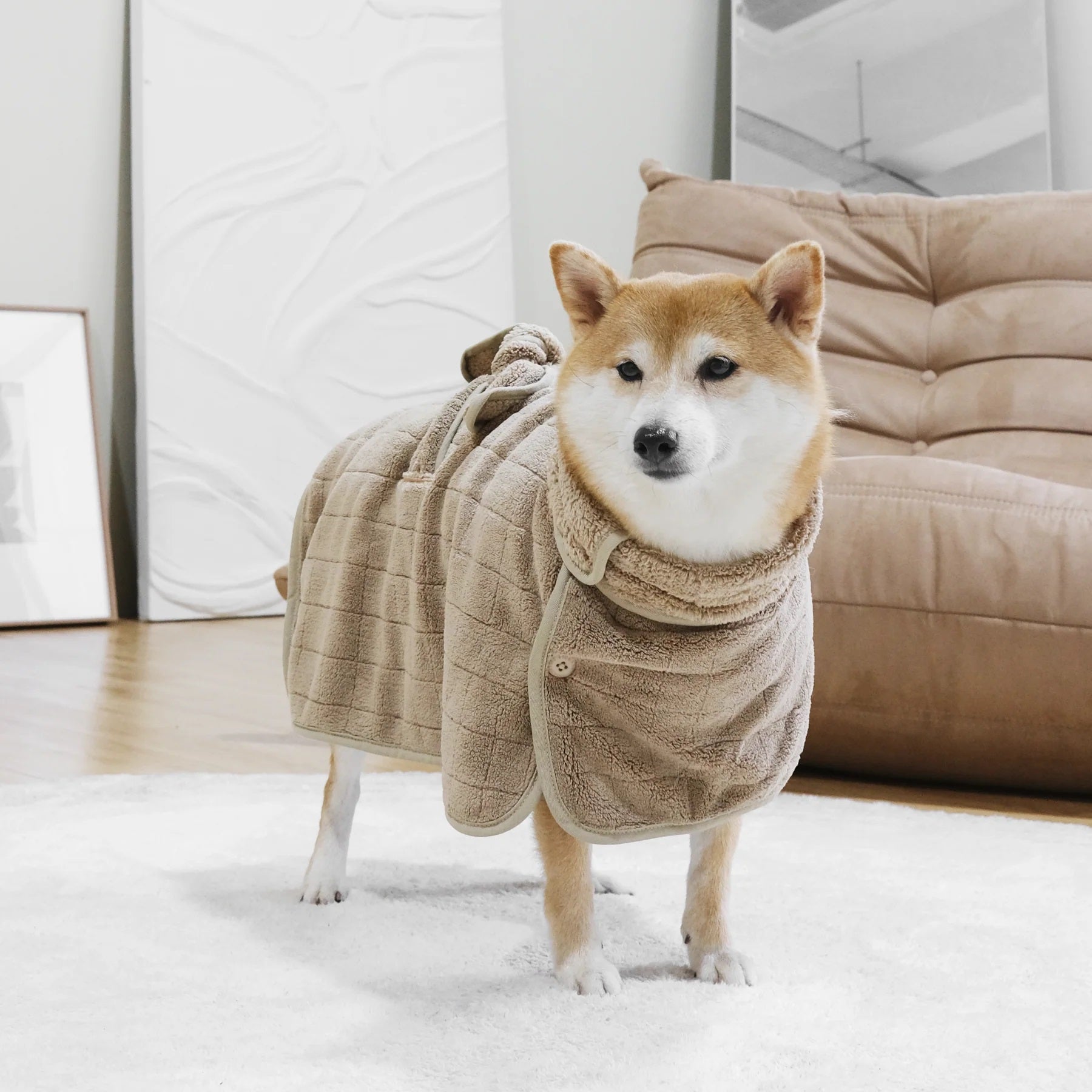 Dog Bathrobe - Baby Fleece Tan - Lambwolf Collective - La Maison Mou