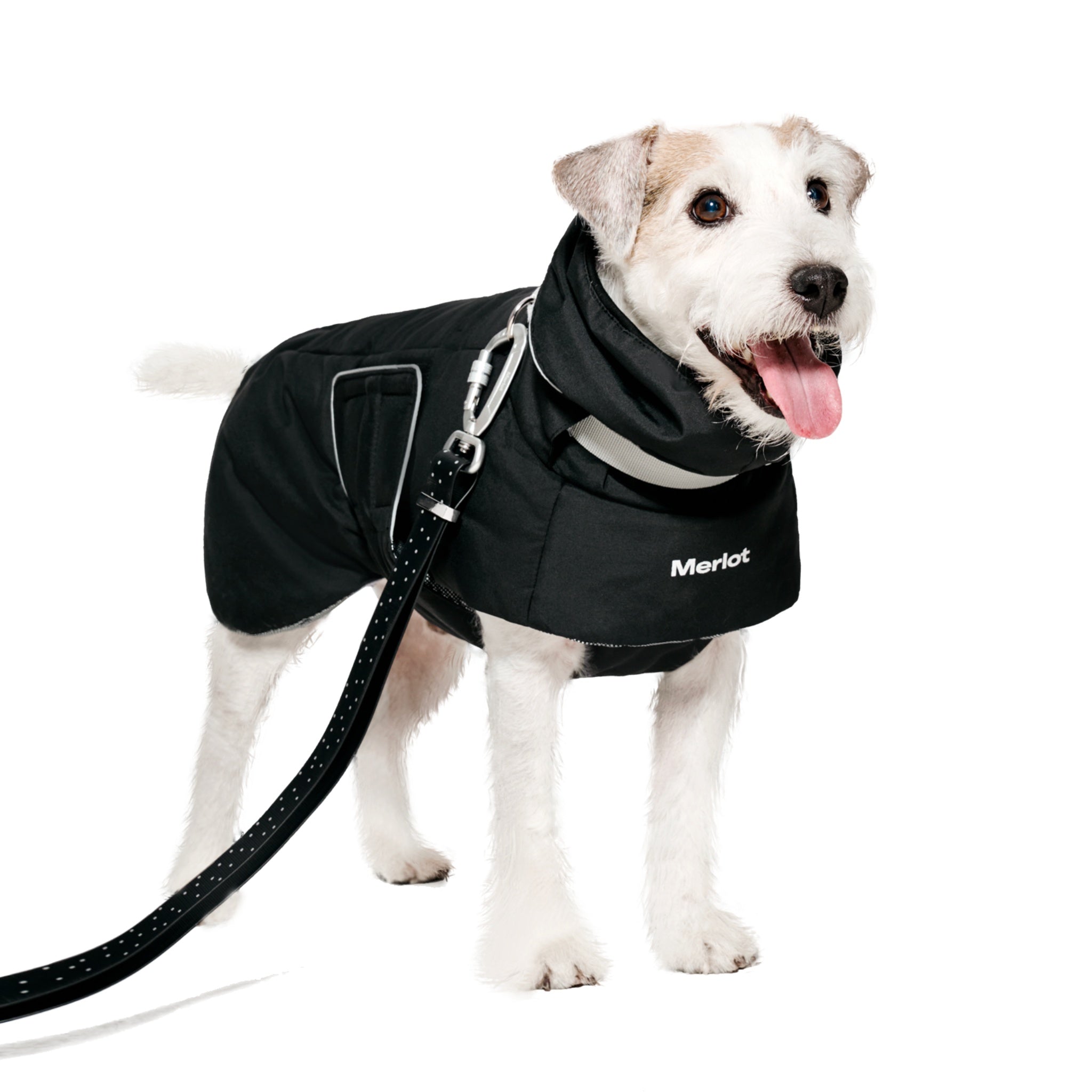 Dog Coat – Ain™ Puffer Black - Merlot - La Maison Mou