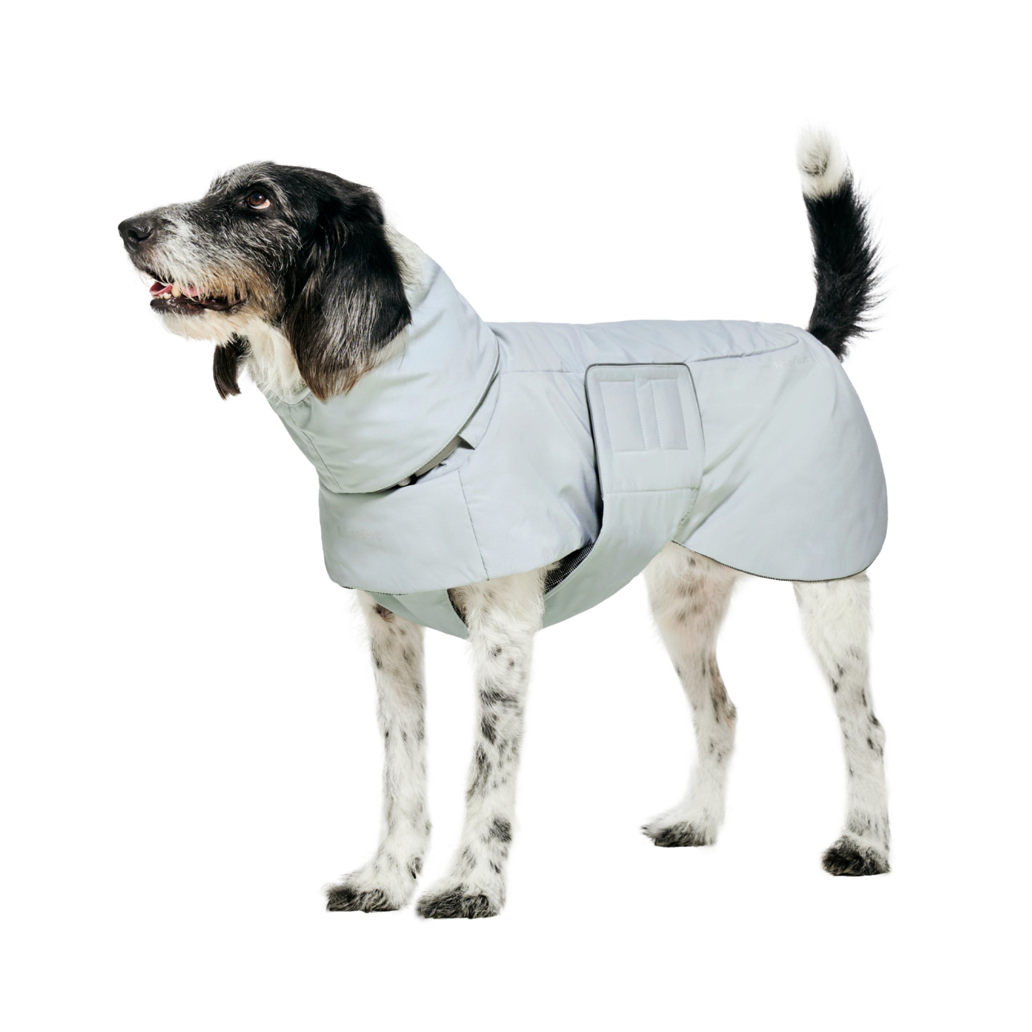 Dog Coat – Ain™ Puffer Lime Stone - Merlot - La Maison Mou