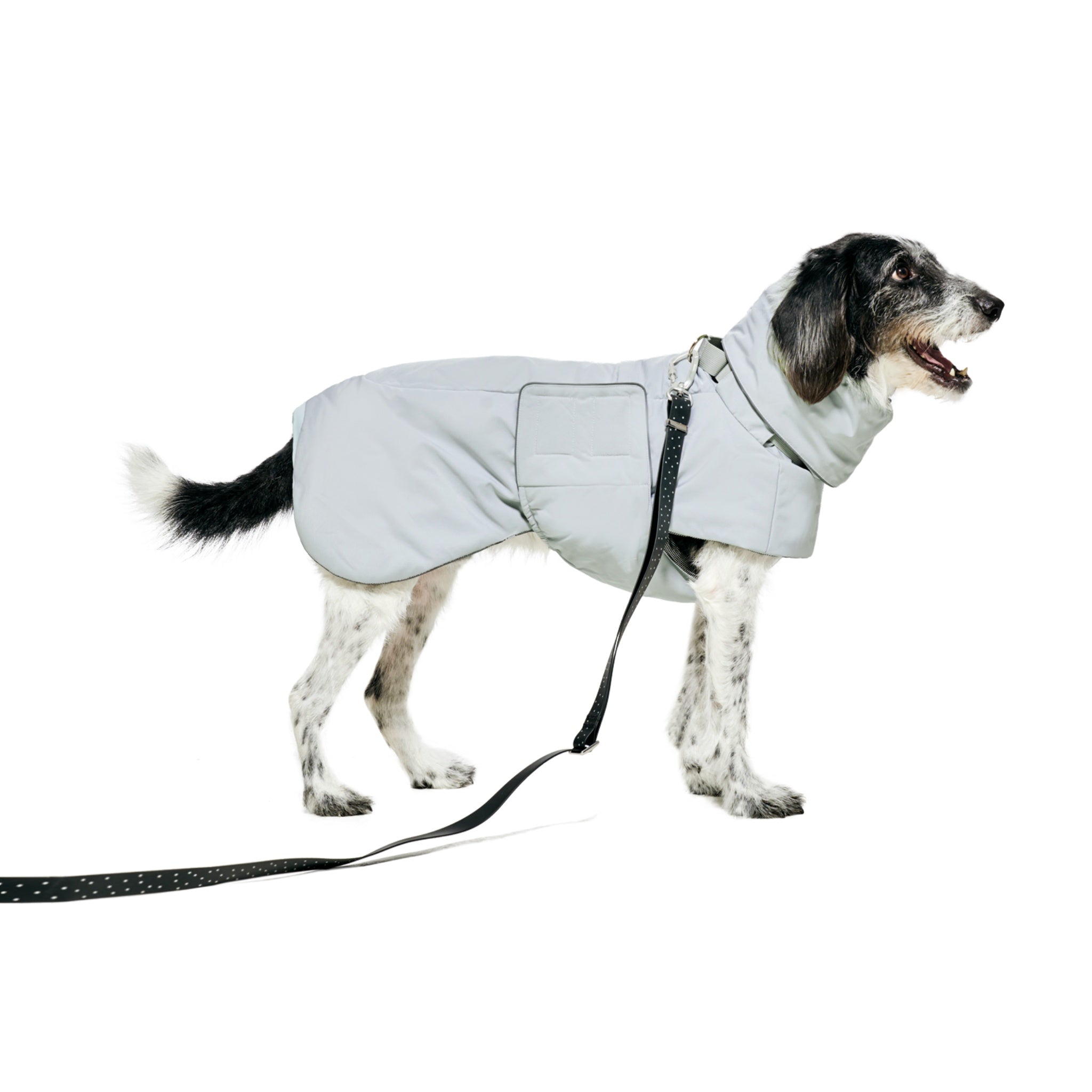 Dog Coat – Ain™ Puffer Lime Stone - Merlot - La Maison Mou