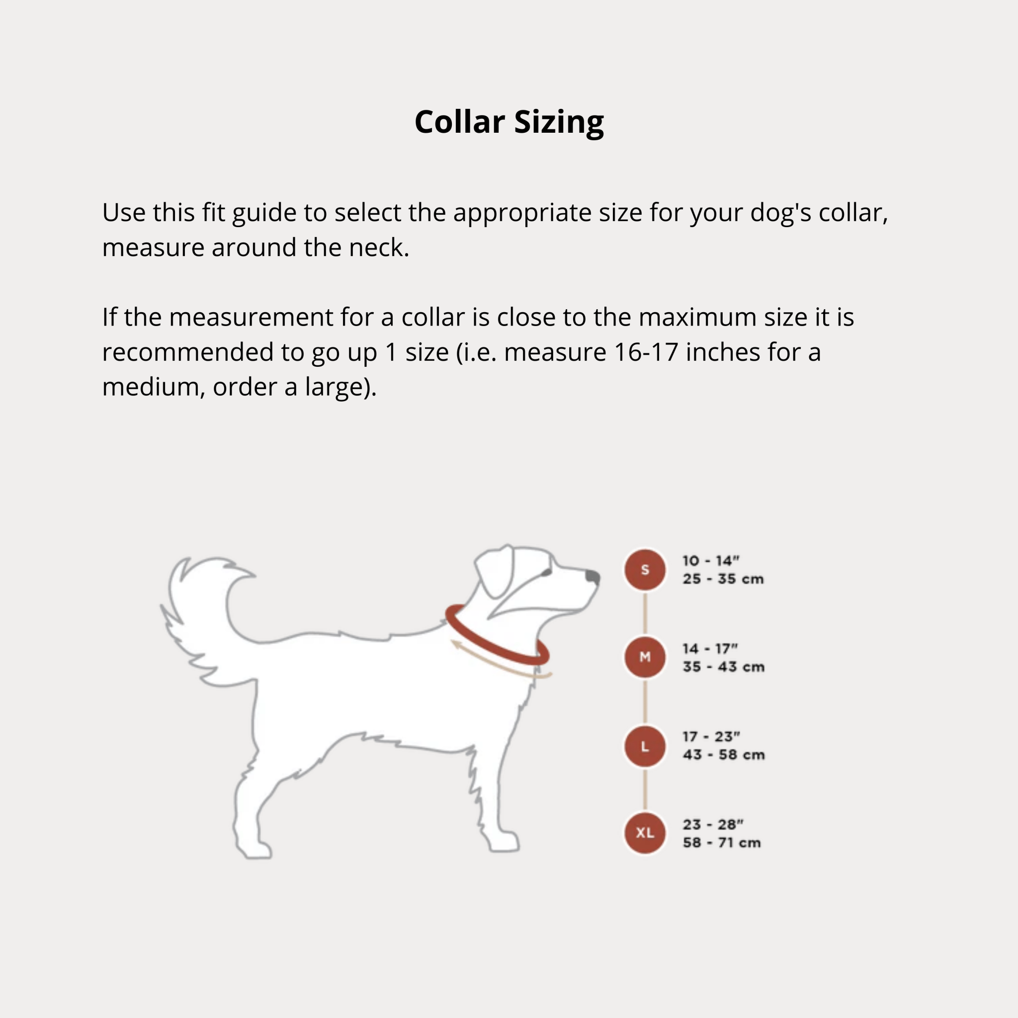 Dog Collar - Canmore All Mountain Northern Lights - Rocky Mountain Dog - La Maison Mou