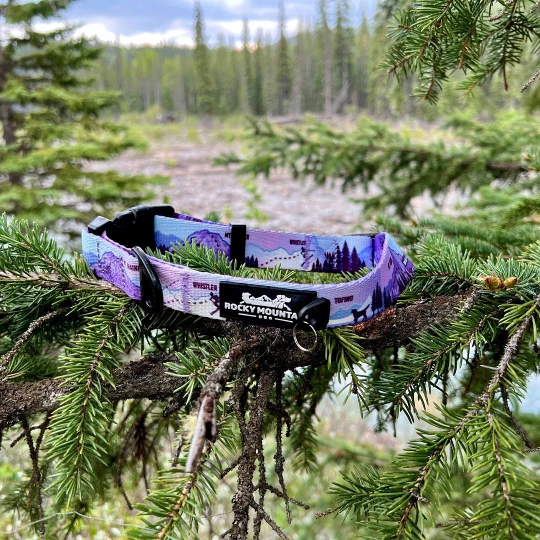Dog Collar - PNW Alpine Reef - Rocky Mountain Dog - La Maison Mou