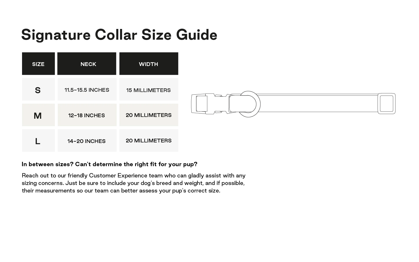 Dog Collar - Signature Peach - Maxbone - La Maison Mou