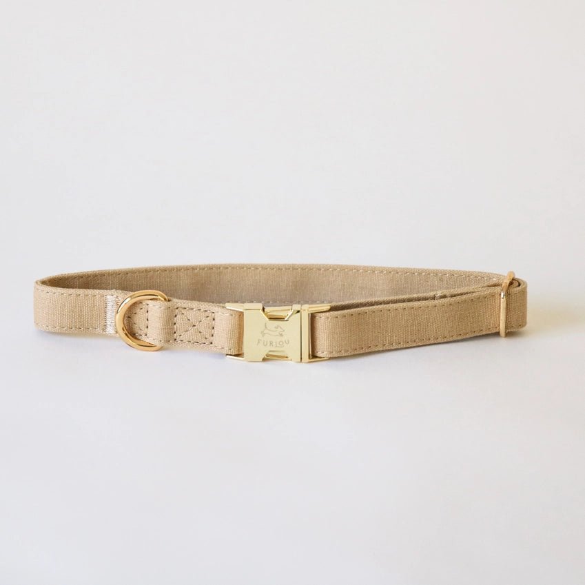Dog Collar - Tan - Furlou - La Maison Mou