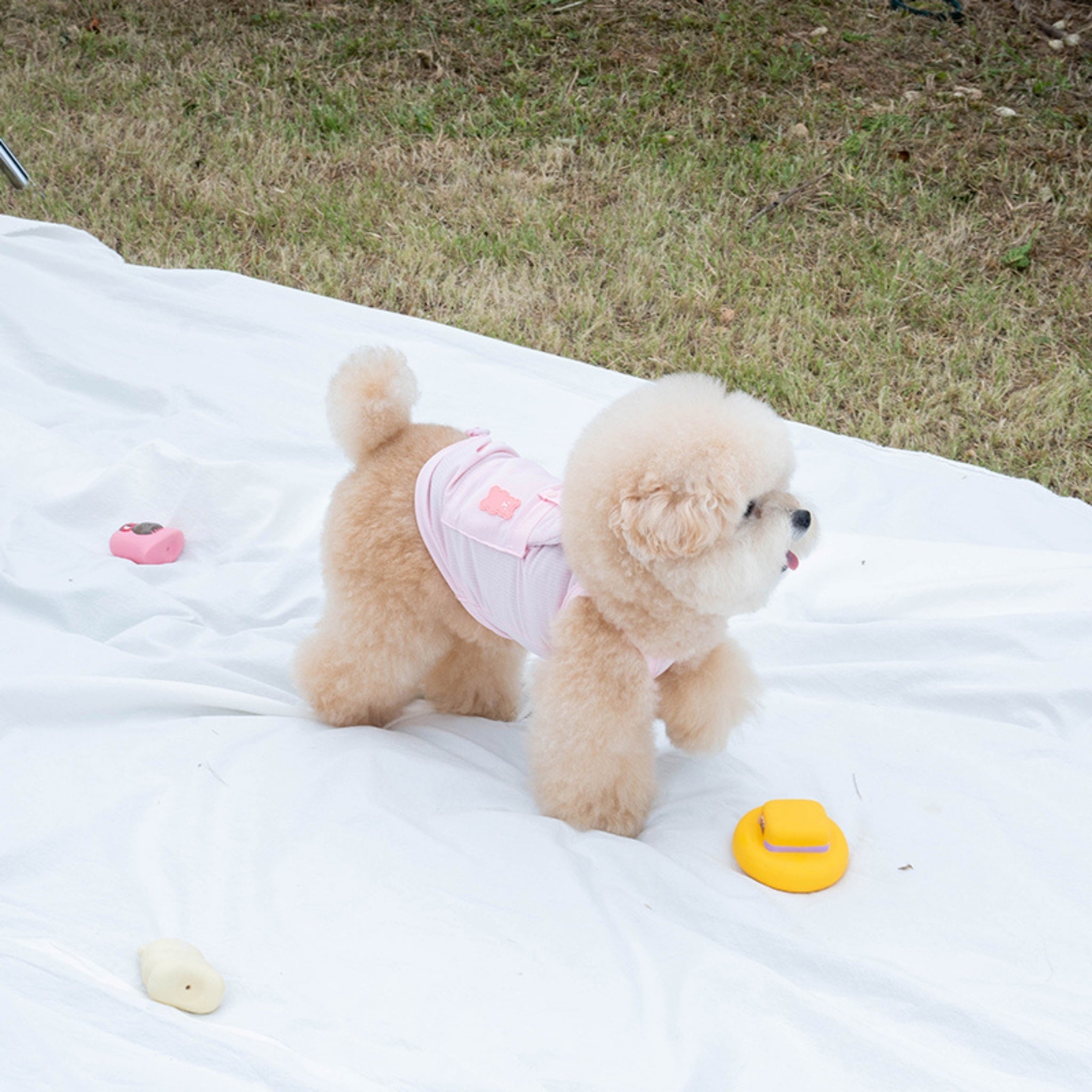 Dog Cooling Tank Top – Big Bear Baby Pink - Puppy Gallery - La Maison Mou