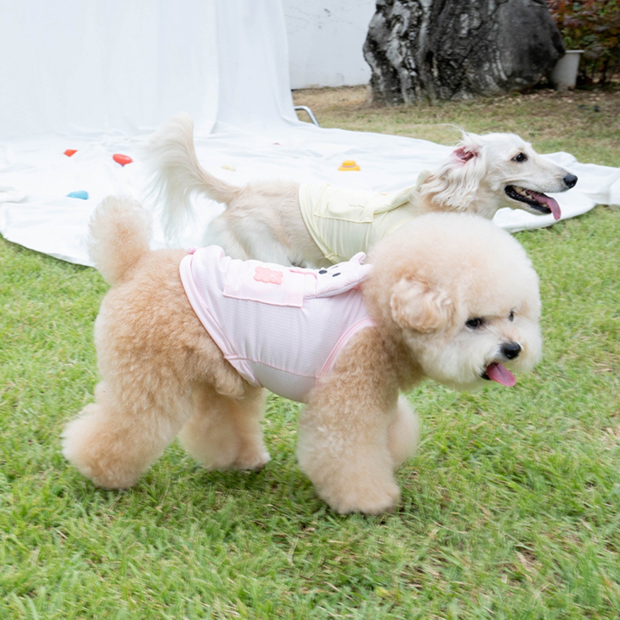Dog Cooling Tank Top – Big Bear Baby Pink - Puppy Gallery - La Maison Mou