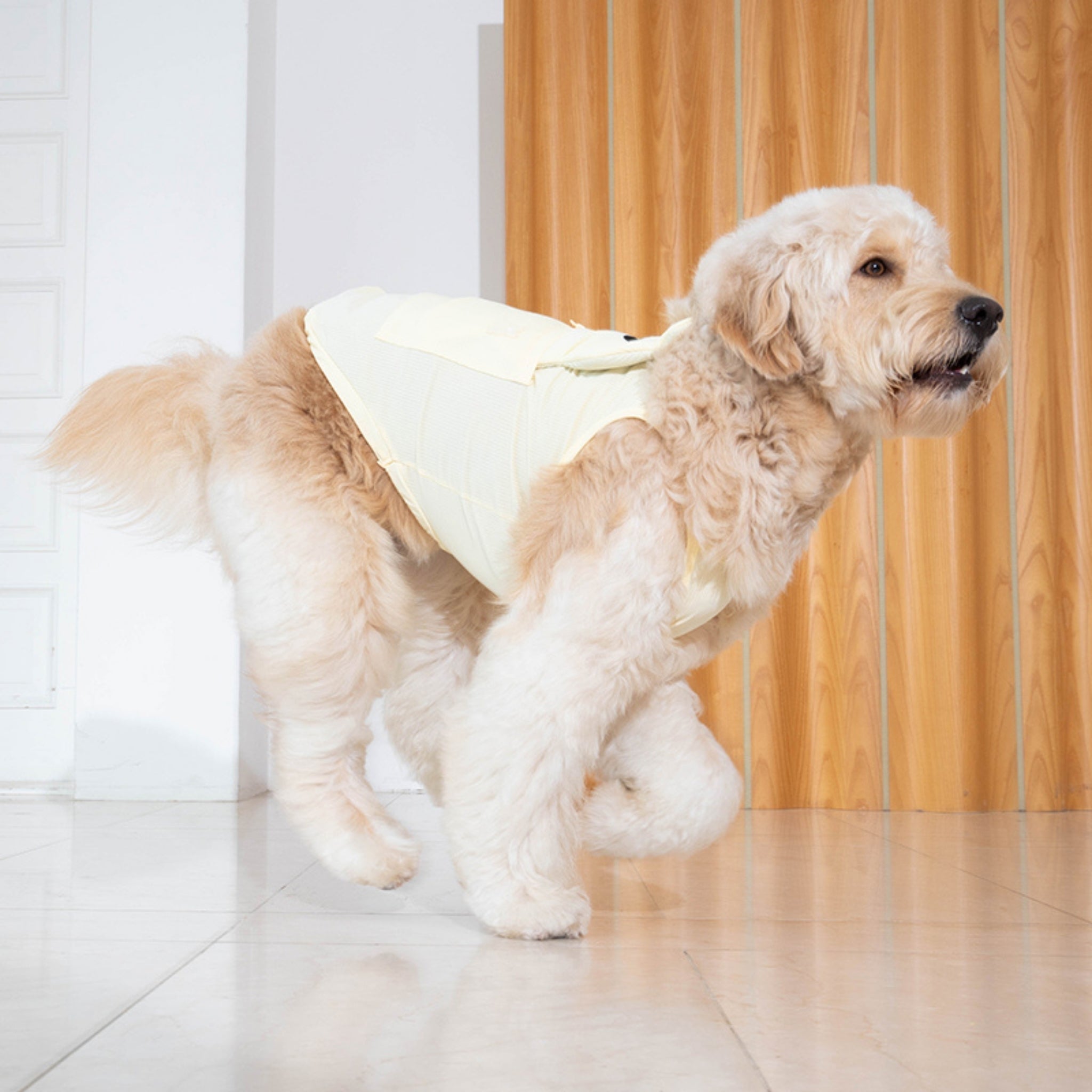 Dog Cooling Tank Top – Big Bear Lemonade - Puppy Gallery - La Maison Mou