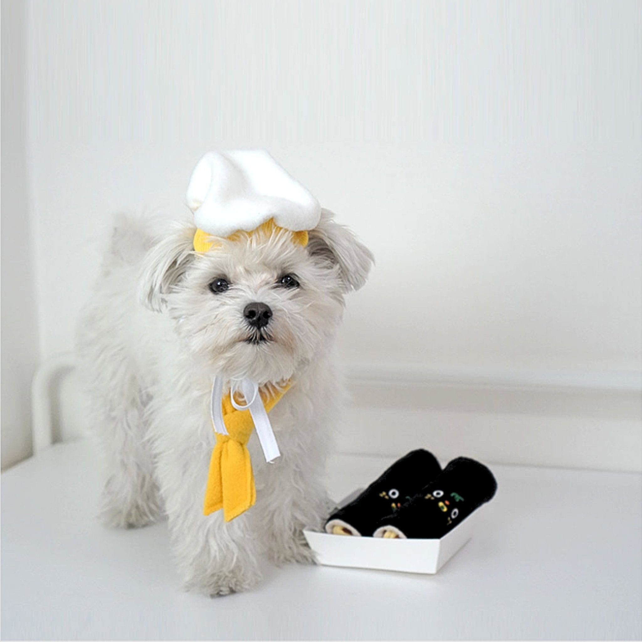 Dog Costume - Hat & Scarf Set - Dingdog - La Maison Mou