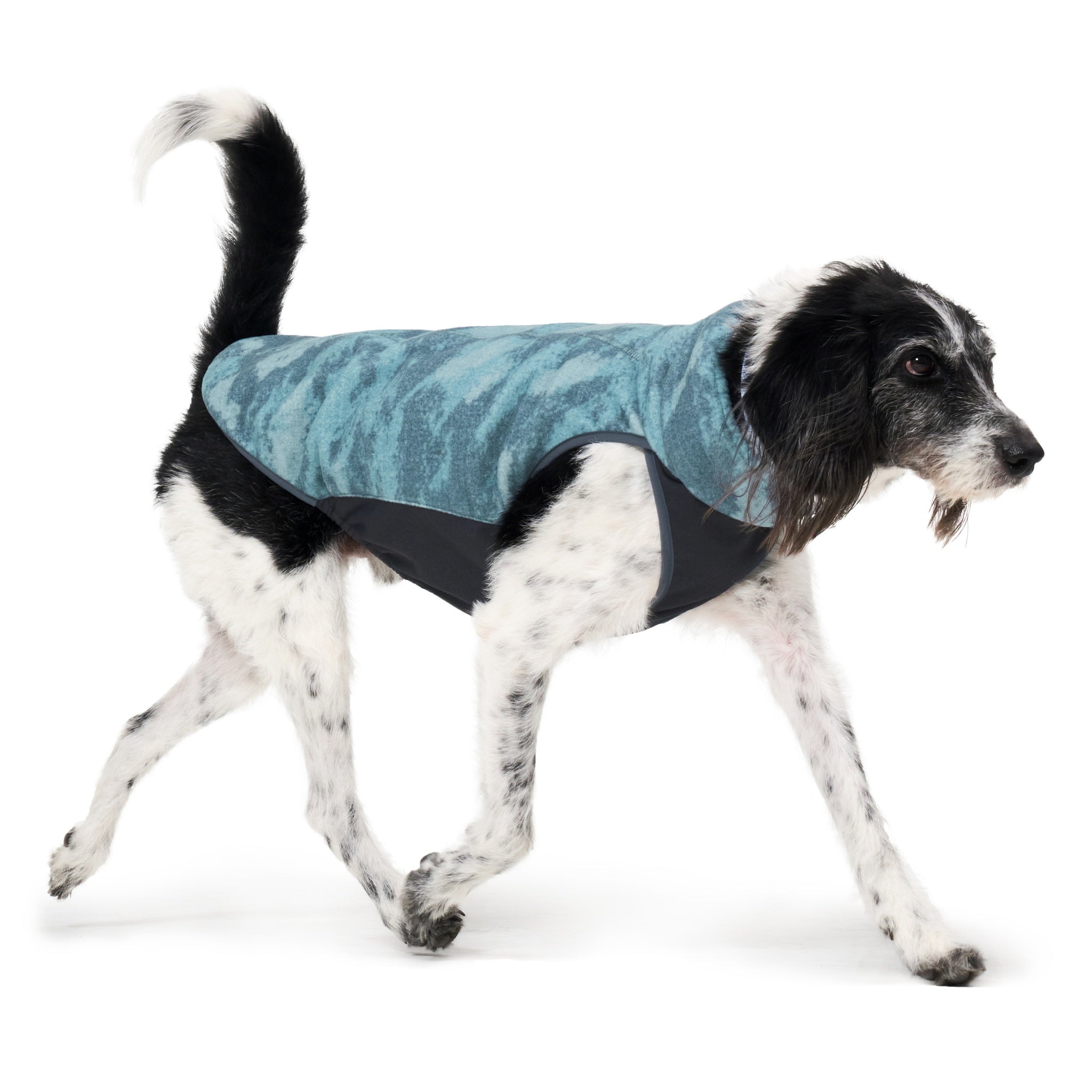 Dog Jacket – Shelter™ Jacket Forest - Merlot - La Maison Mou