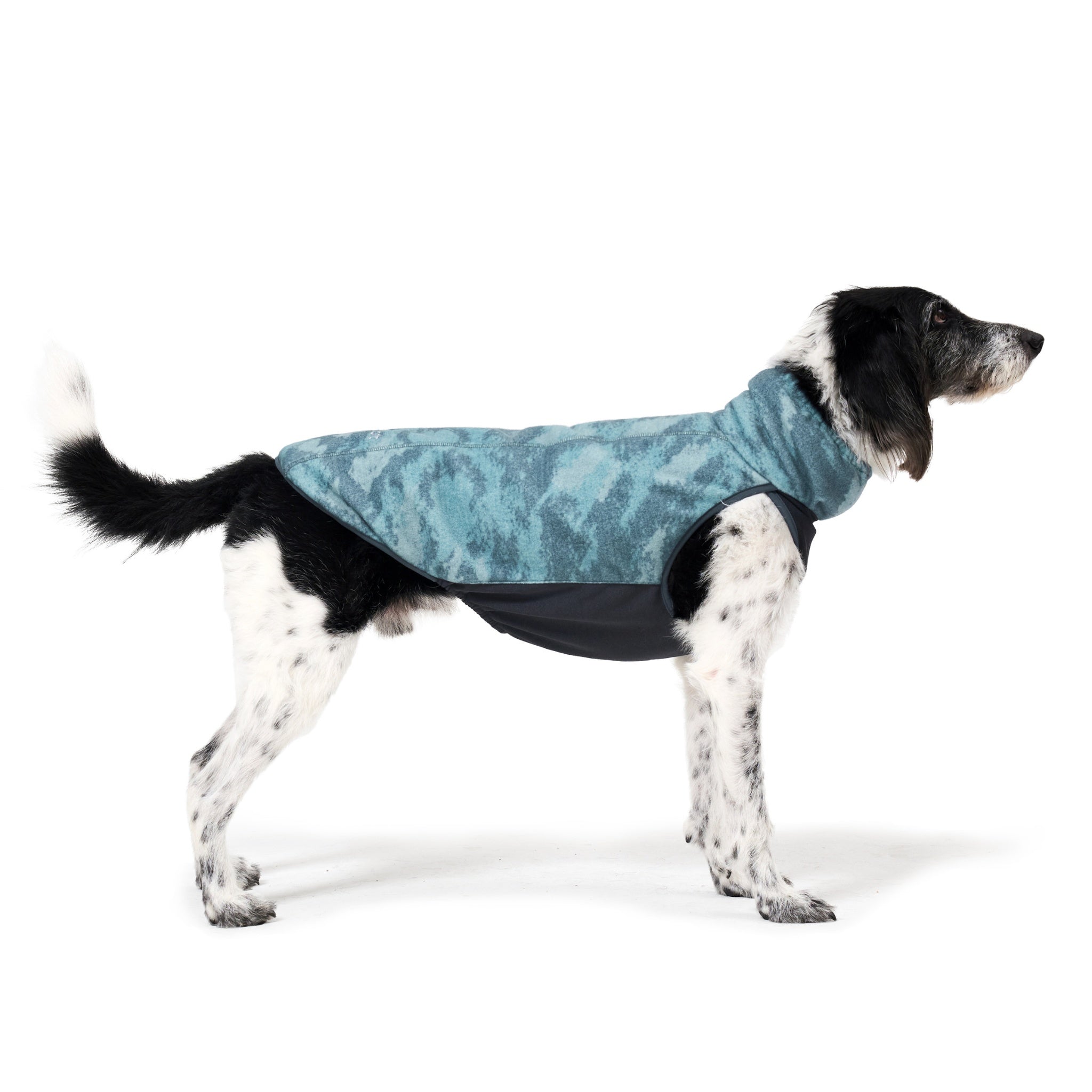 Dog Jacket – Shelter™ Jacket Forest - Merlot - La Maison Mou
