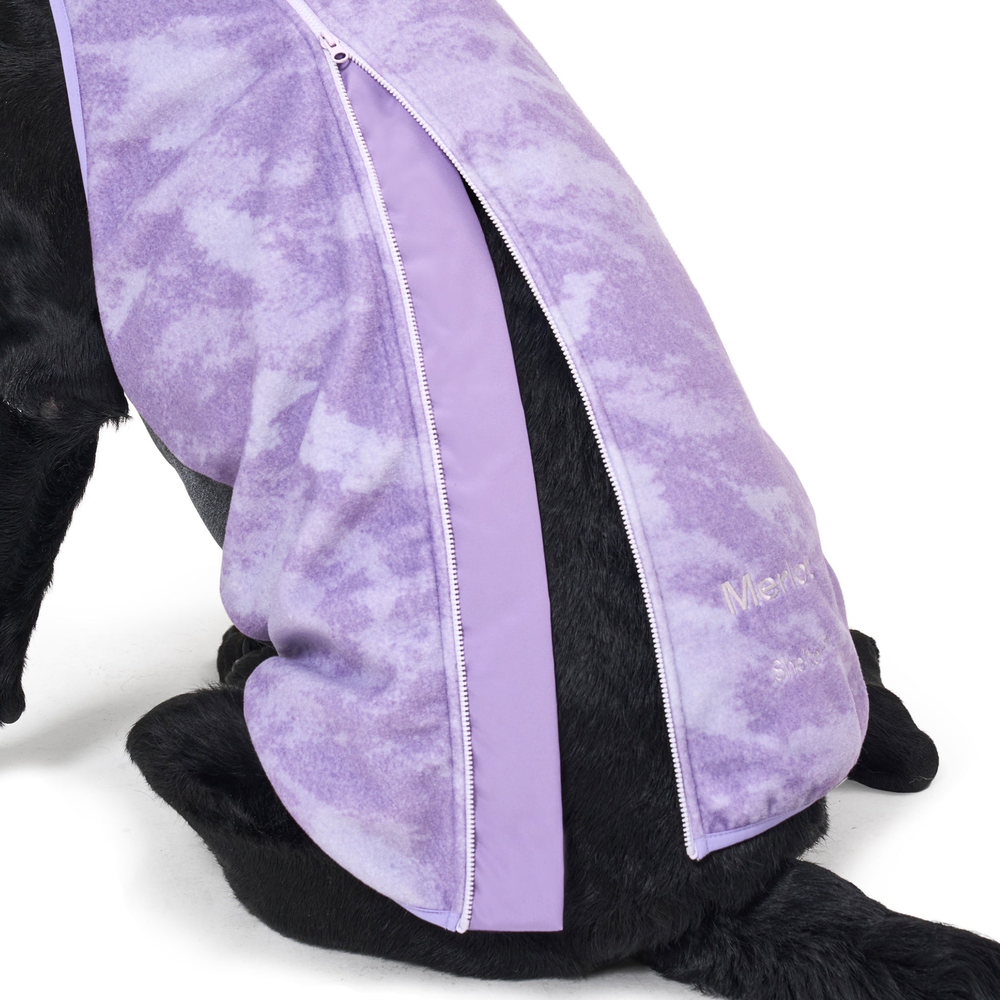 Dog Jacket – Shelter™ Jacket Purple - Merlot - La Maison Mou