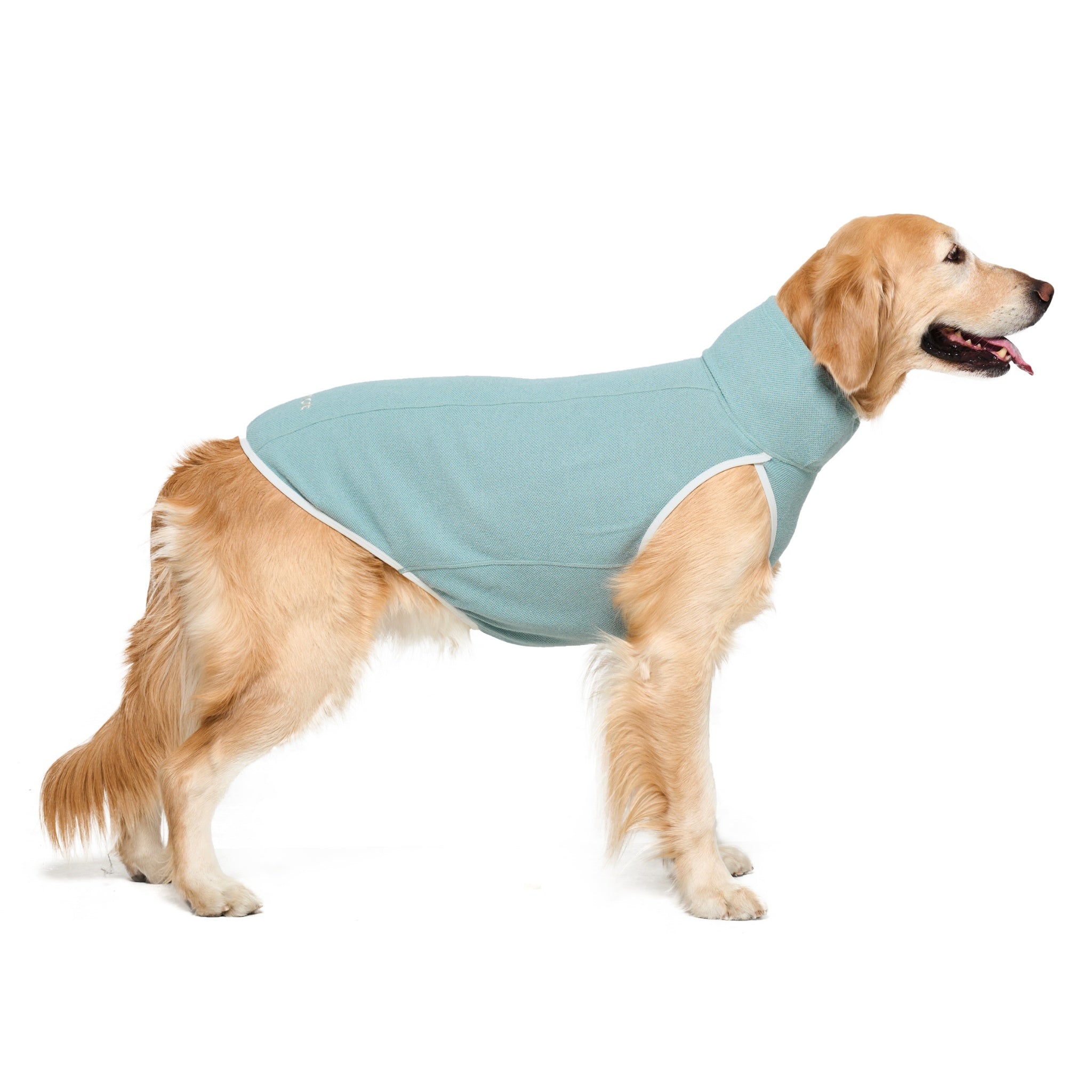 Dog Jacket – Shelter™ Layer Mint - Merlot - La Maison Mou