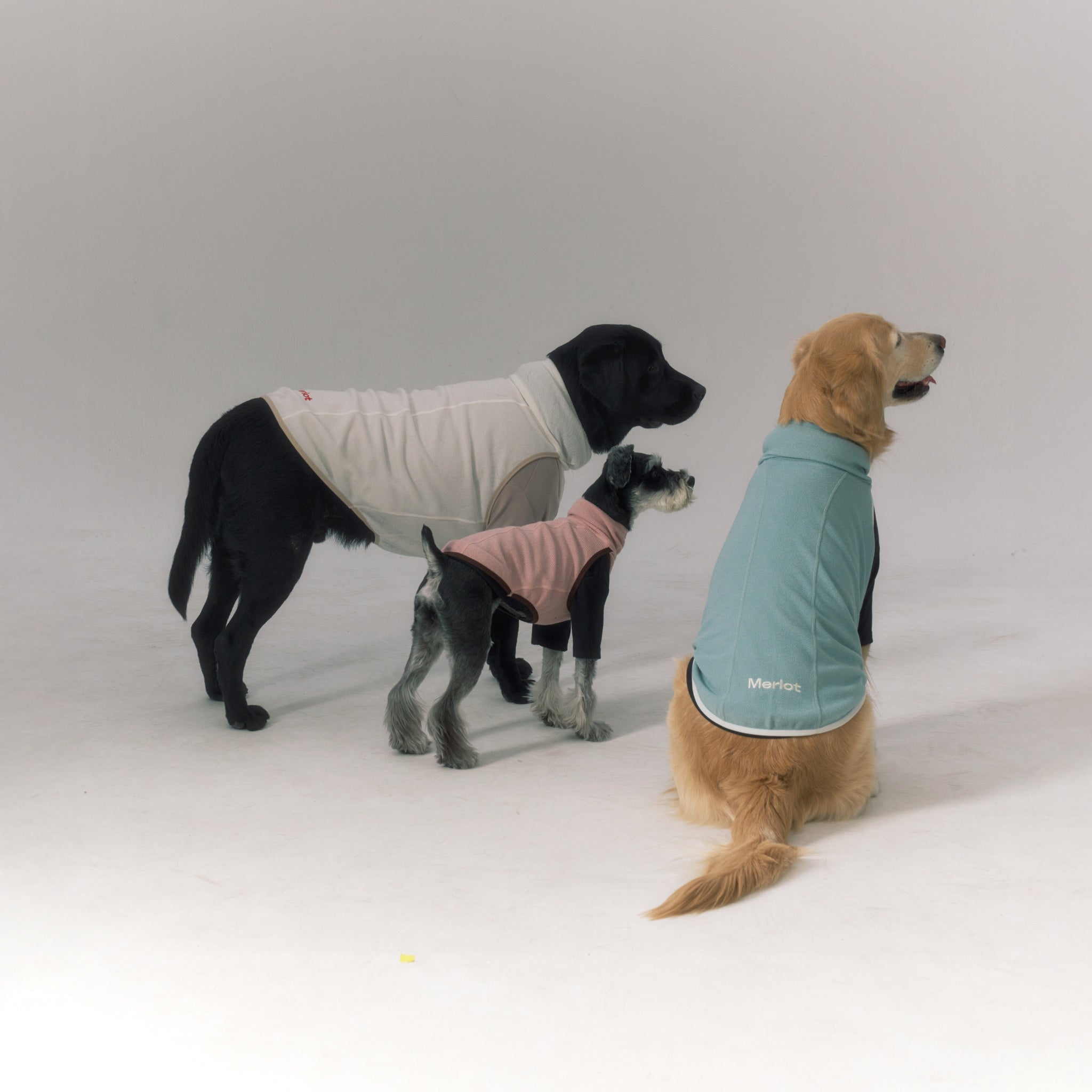 Dog Jacket – Shelter™ Layer Mint - Merlot - La Maison Mou
