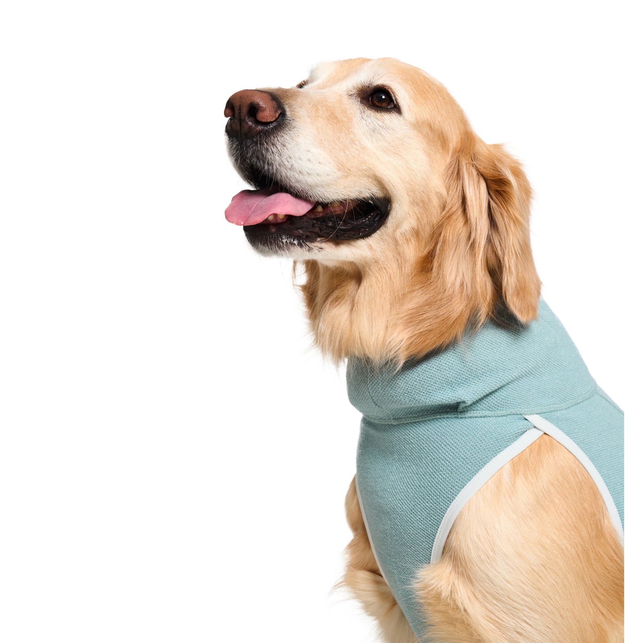 Dog Jacket – Shelter™ Layer Mint - Merlot - La Maison Mou