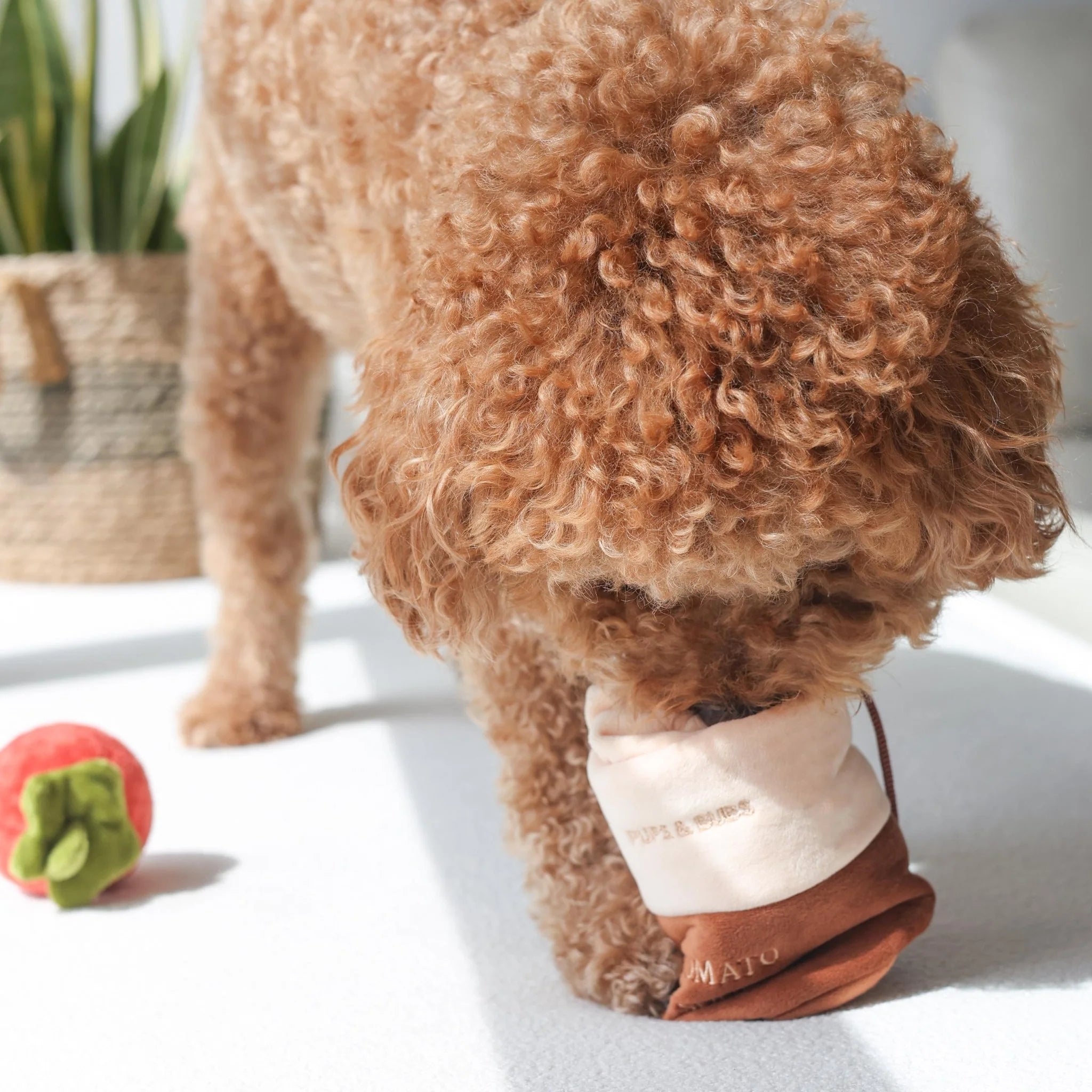 Top-down view of the tomato soup enrichment dog toy with labels pointing out the drawstring closure, internal treat pockets, crinkle paper, and squeaker ball.