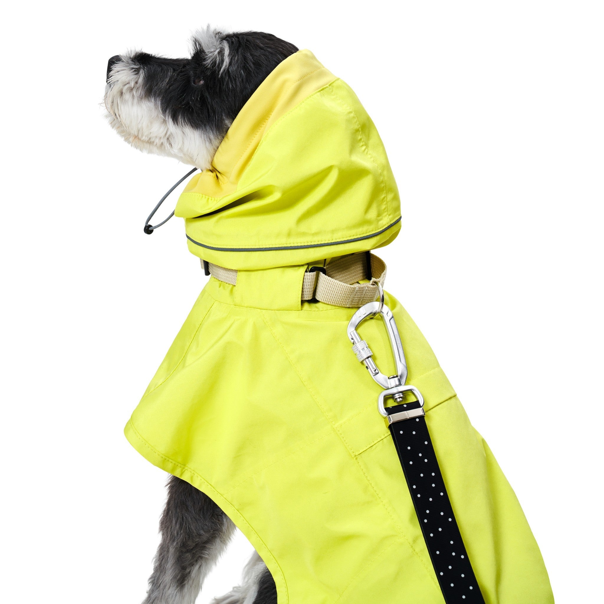 Dog Raincoat - Ain™ Coat Lemon - Merlot - La Maison Mou