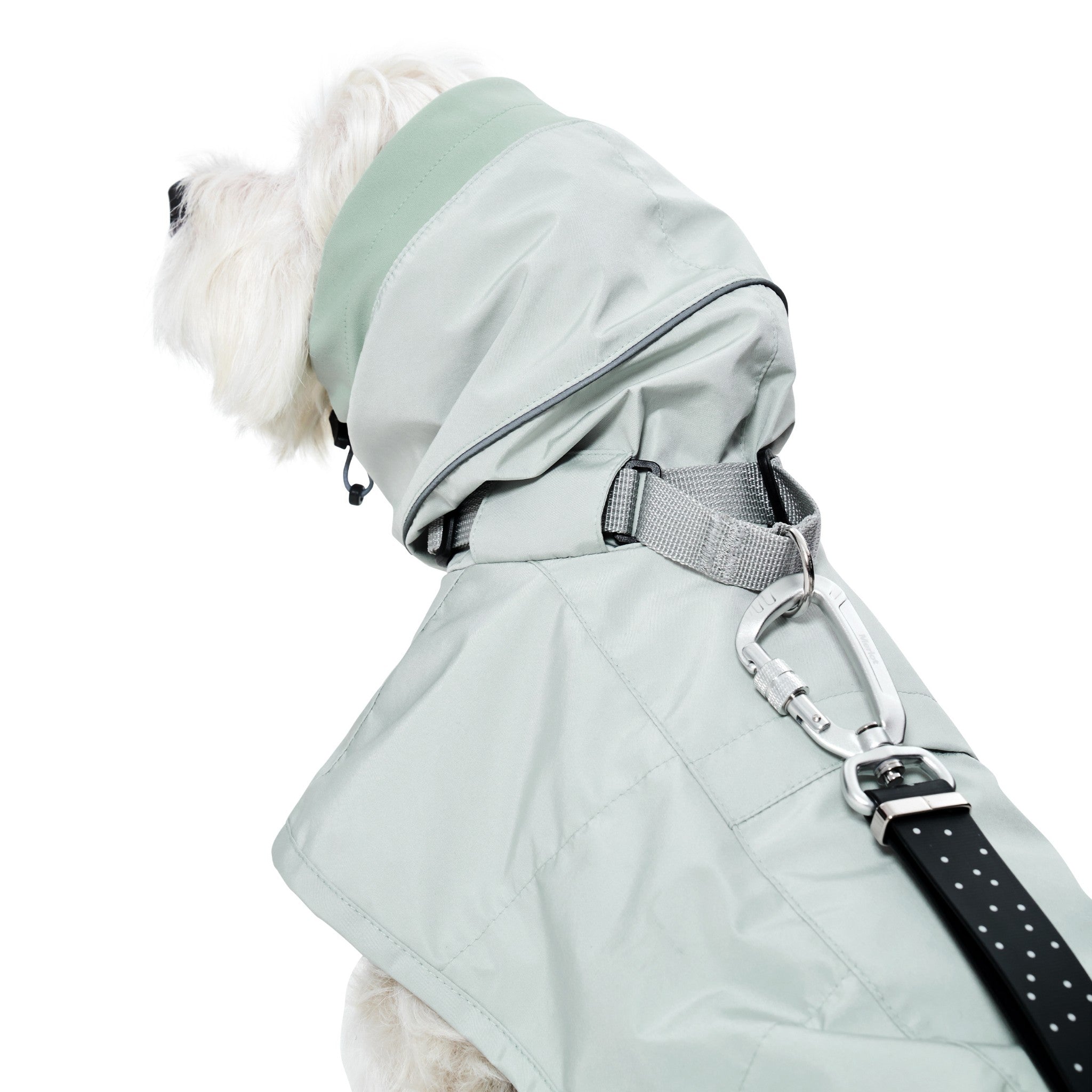 Dog Raincoat - Ain™ Coat Lime Stone - Merlot - La Maison Mou
