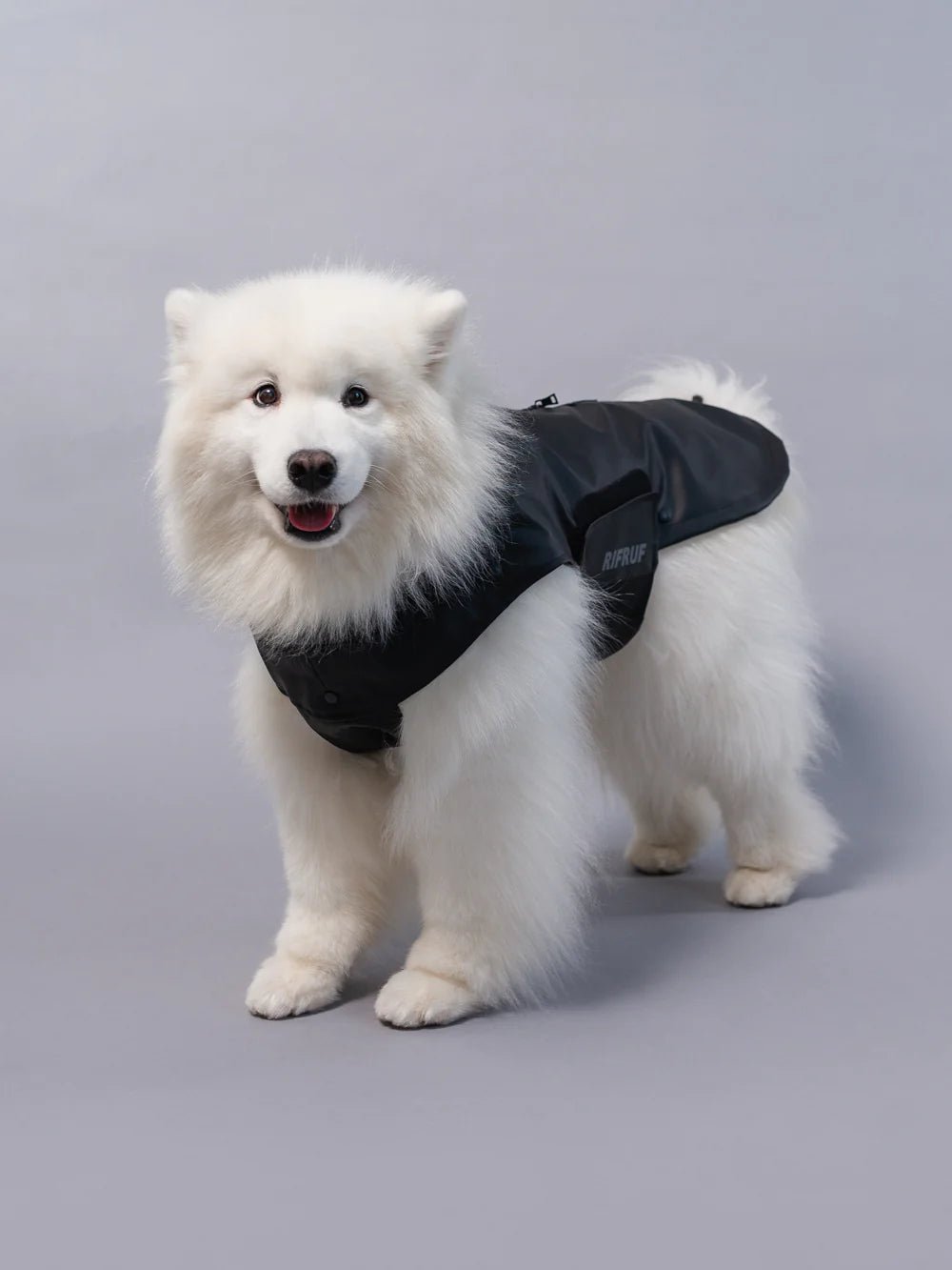 Dog Raincoat - Stormhunter Truffle - Rifruf - La Maison Mou