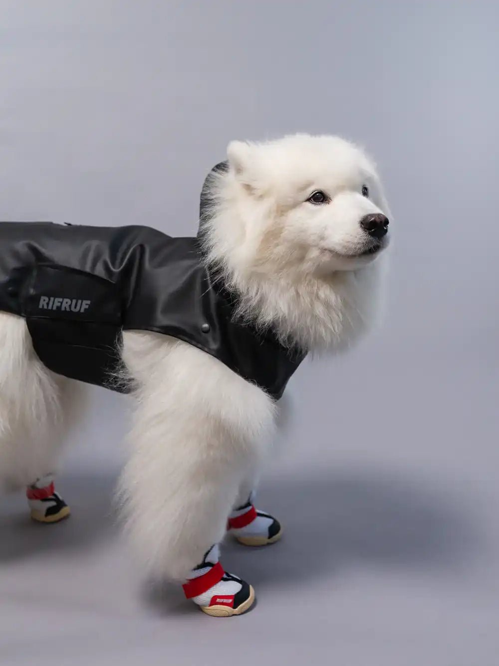 Dog Raincoat - Stormhunter Truffle - Rifruf - La Maison Mou
