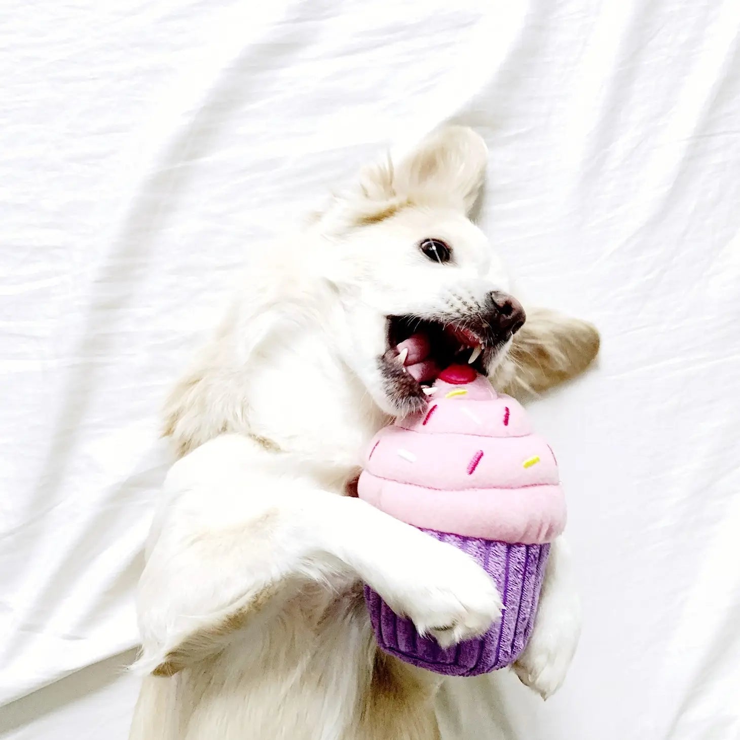 Dog Toy - Cupcake Pink - ZippyPaws - La Maison Mou