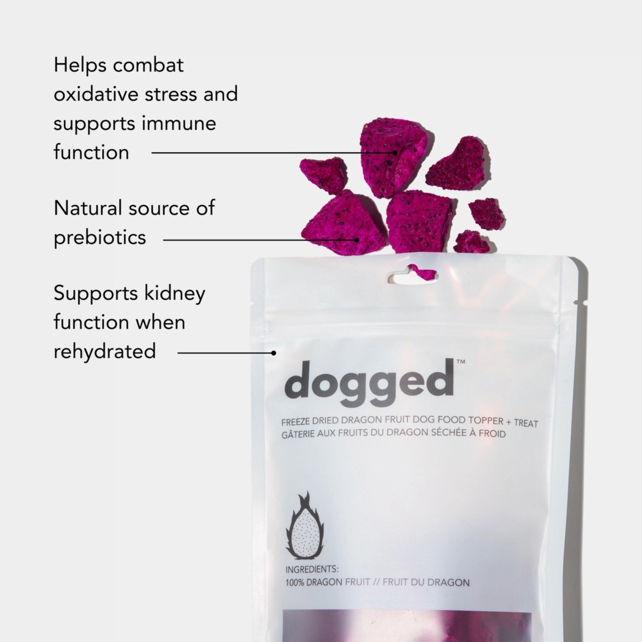 An informational product graphic of the Dogged dragon fruit pet treat pouch with text pointers outlining health benefits, including combating oxidative stress, supporting immune function, providing prebiotics, and supporting kidney function.