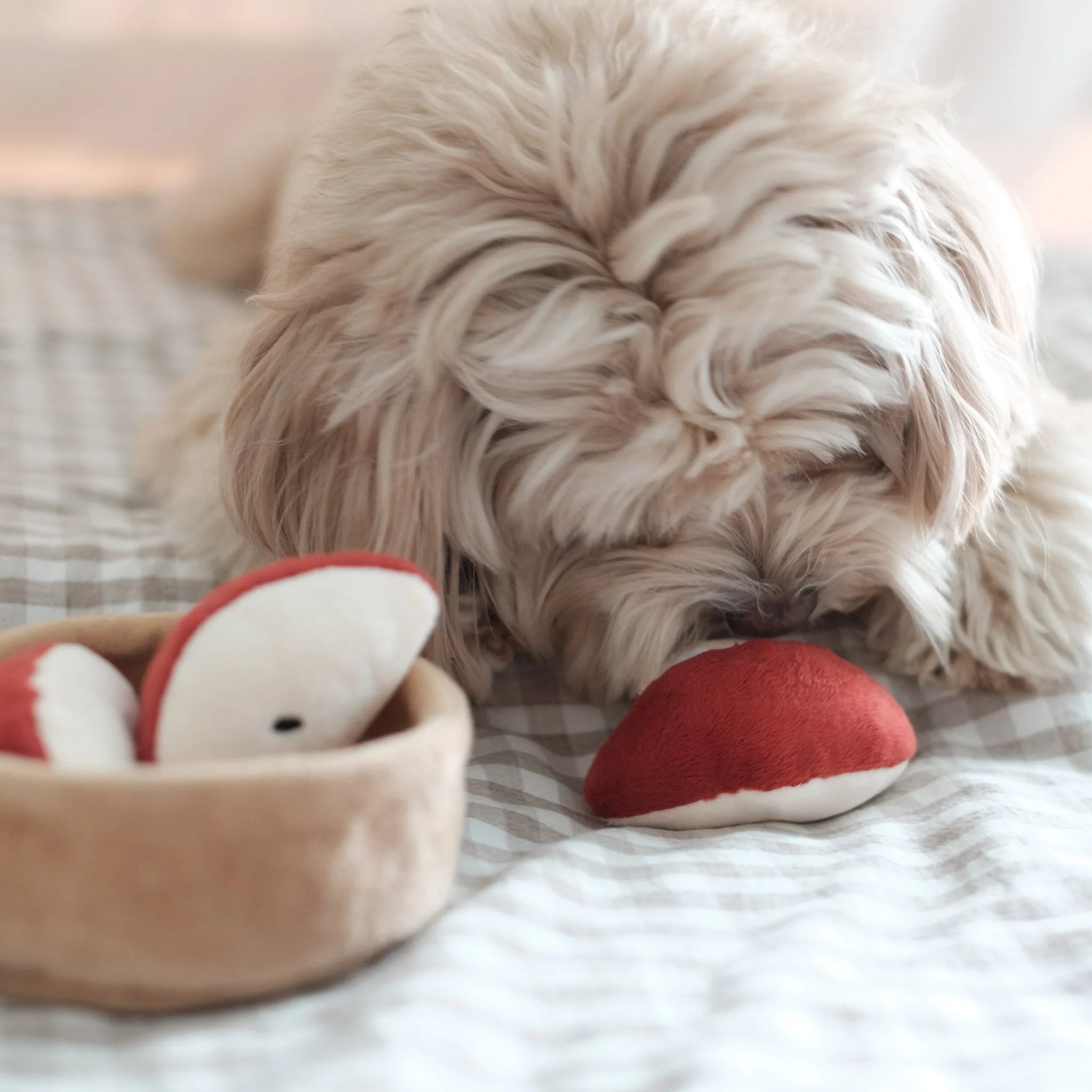Enrichment Dog Toy - Apple Pie - Pups & Bubs - La Maison Mou