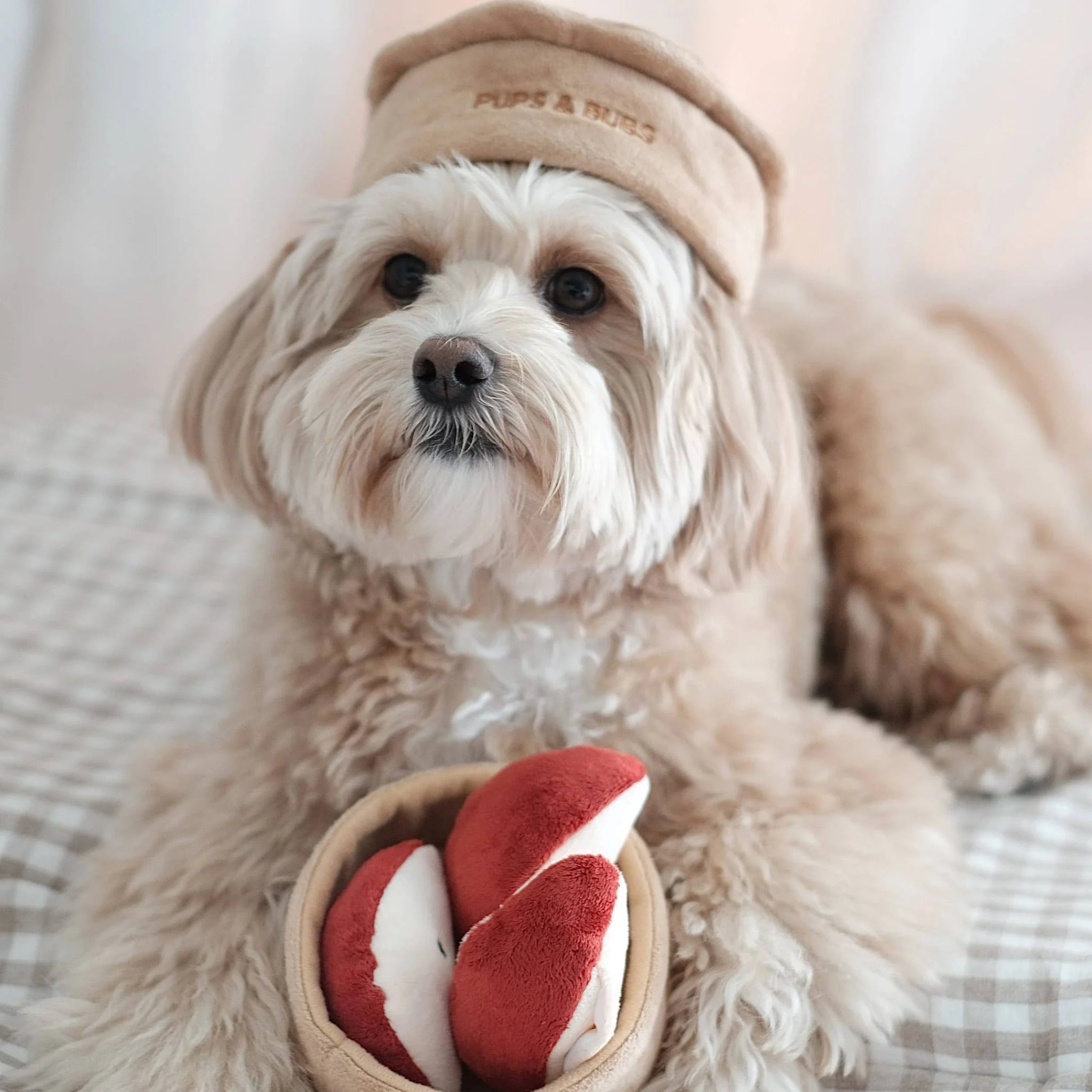 Enrichment Dog Toy - Apple Pie - Pups & Bubs - La Maison Mou