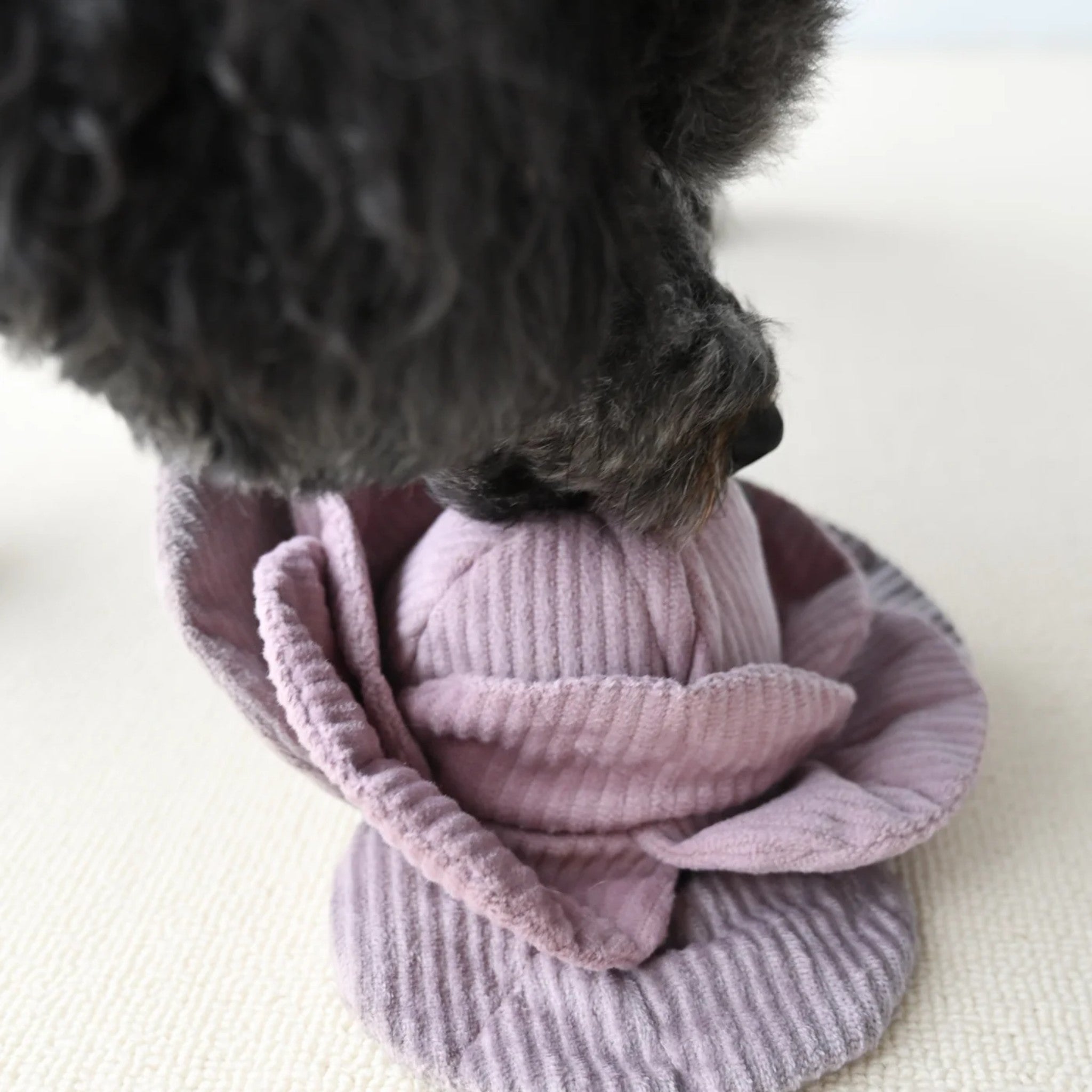 Enrichment Dog Toy - Cabbage Pop Red - Lambwolf Collective - La Maison Mou