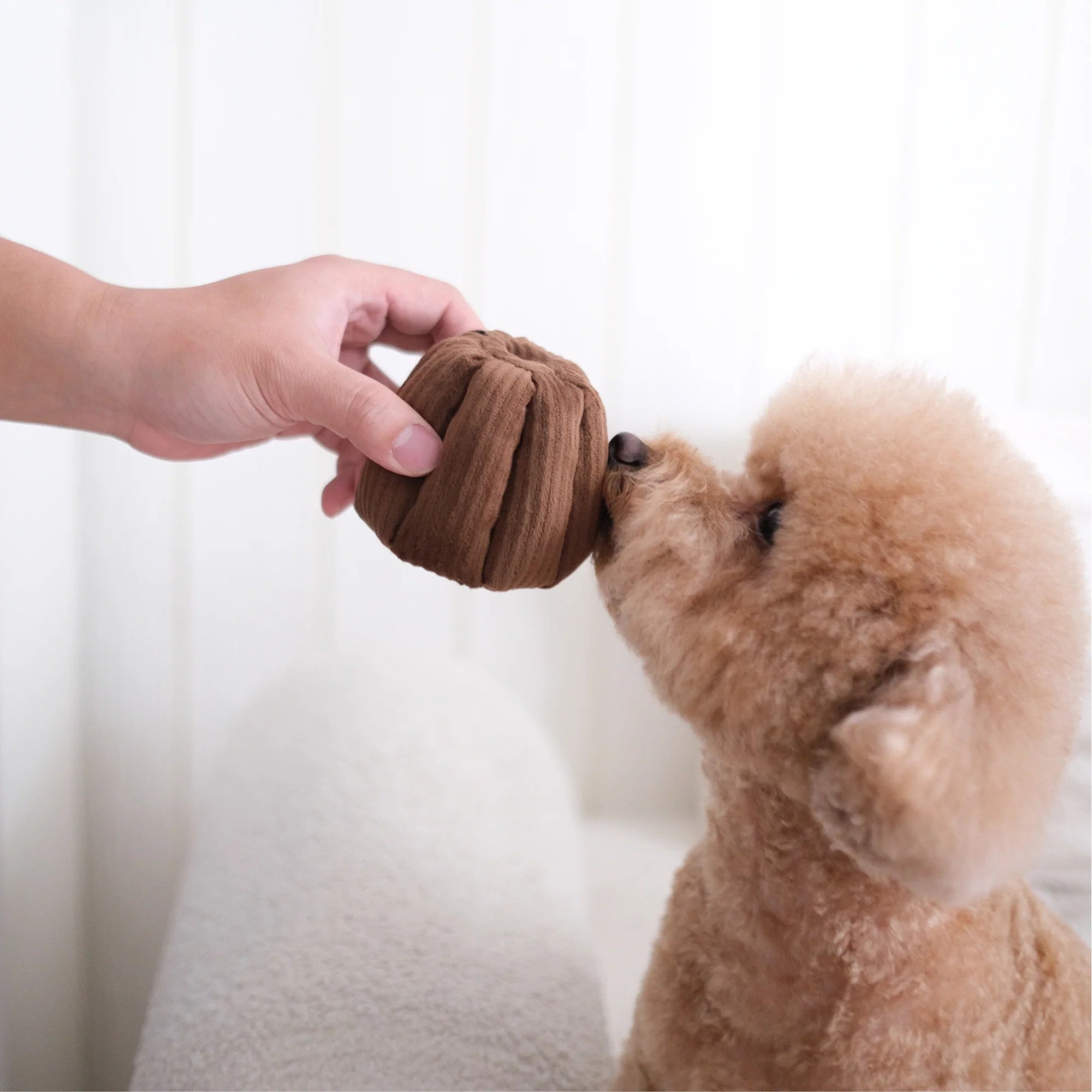 Enrichment Dog Toy - Canele - Lambwolf Collective - La Maison Mou