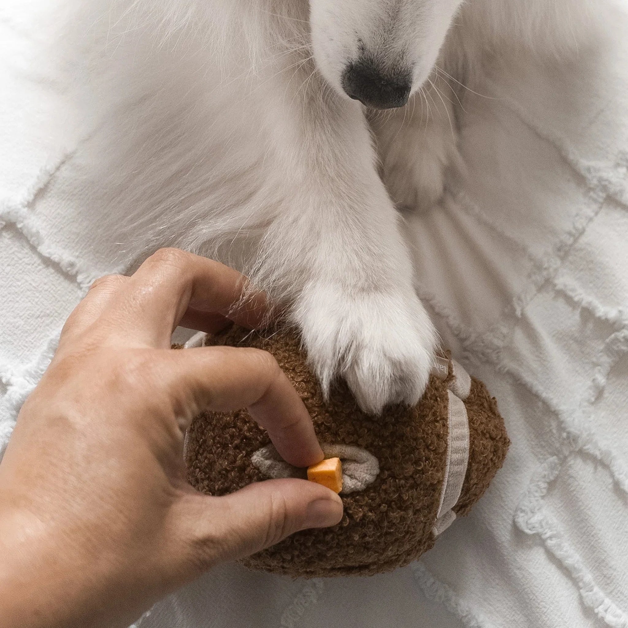 Enrichment Dog Toy - Football - Lambwolf Collective - La Maison Mou