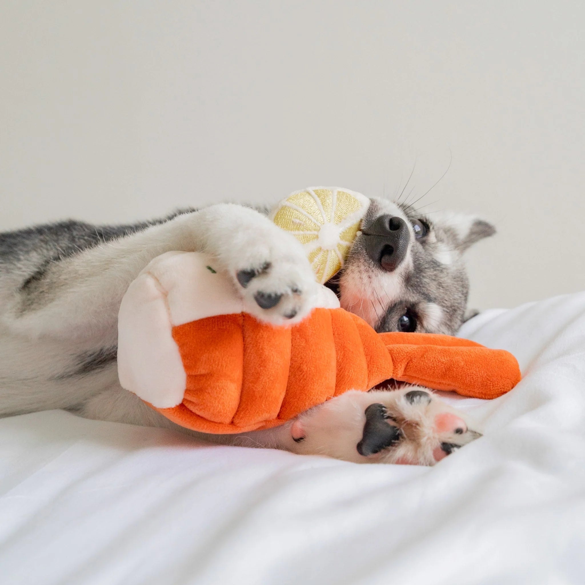 Enrichment Dog Toy - Grilled Lobster - Pups & Bubs - La Maison Mou