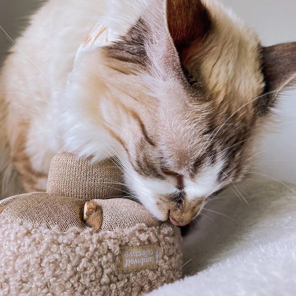 Enrichment Dog Toy - Guu Mushroom - Lambwolf Collective - La Maison Mou