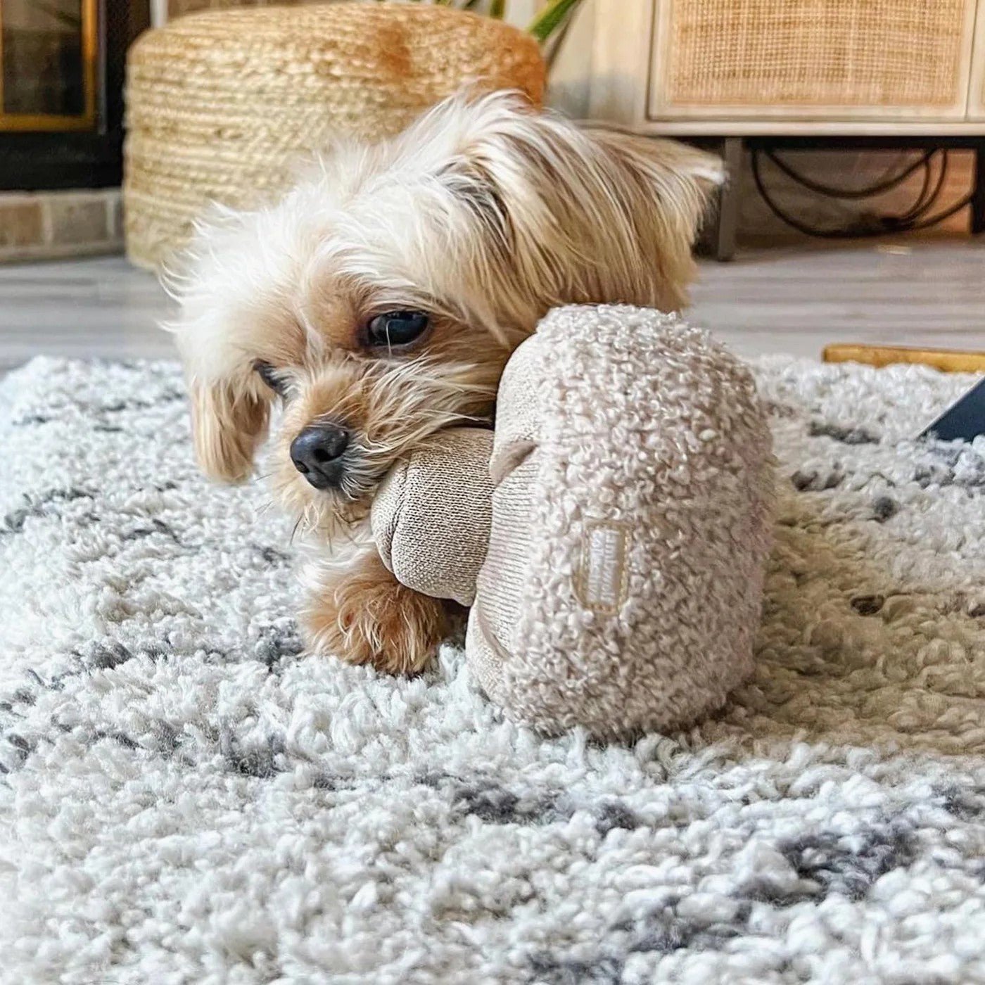 Enrichment Dog Toy - Guu Mushroom - Lambwolf Collective - La Maison Mou