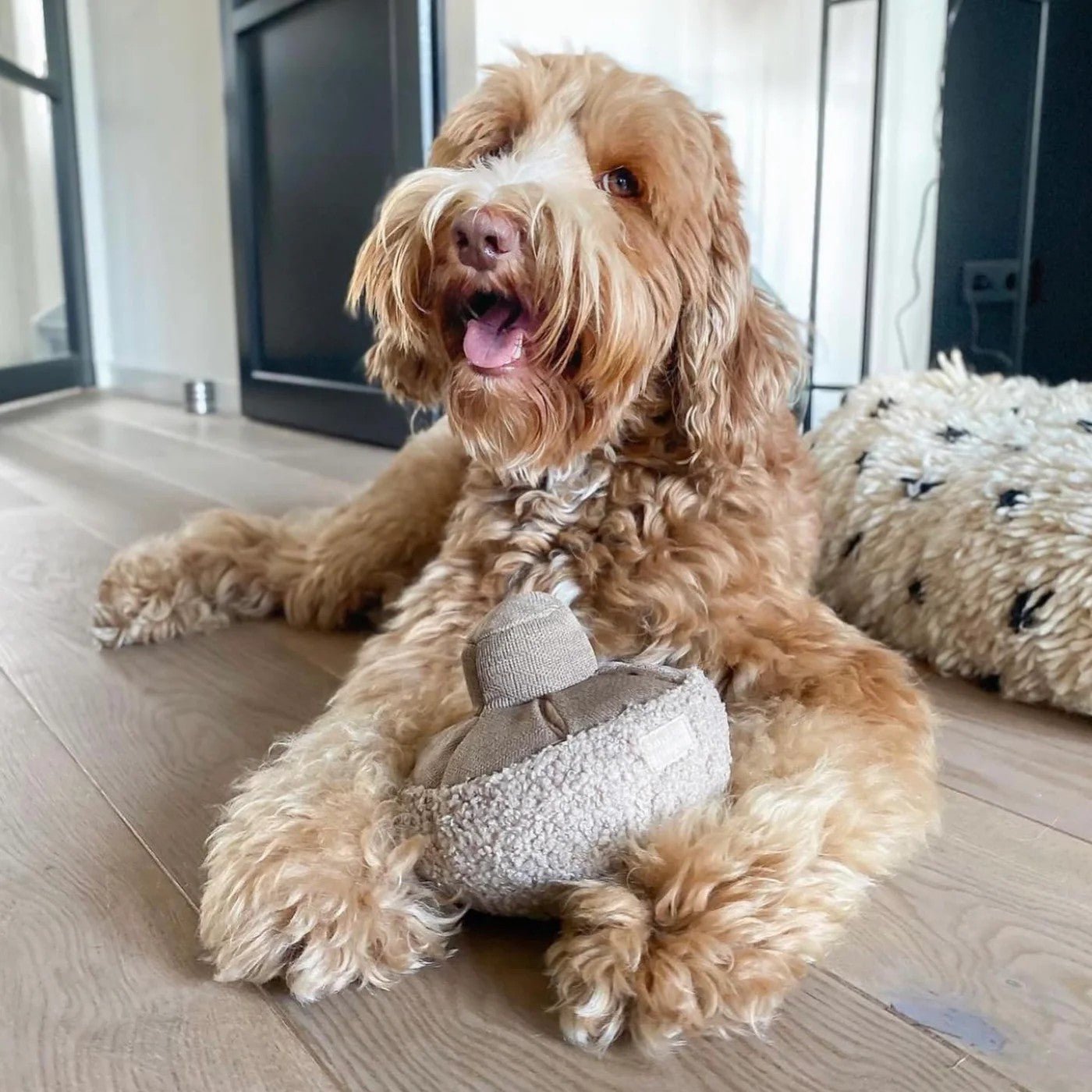 Enrichment Dog Toy - Guu Mushroom - Lambwolf Collective - La Maison Mou