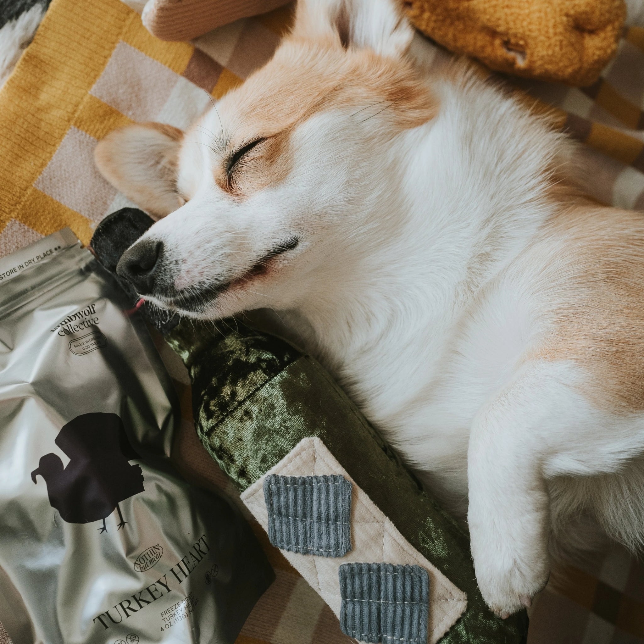 Enrichment Dog Toy - Merlot - Lambwolf Collective - La Maison Mou