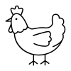 Simple line drawing of a chicken