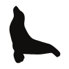 Black silhouette of a seal on a white background