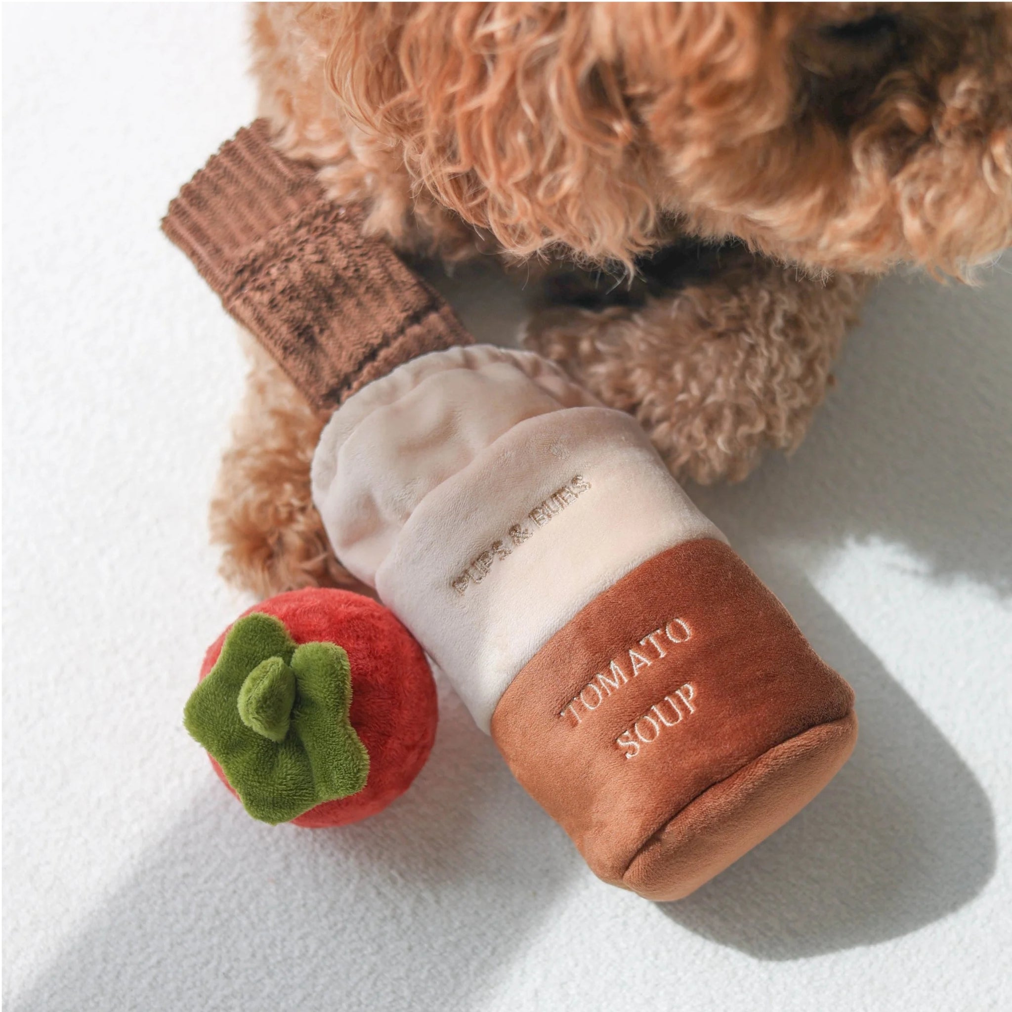 A fluffy brown poodle dog lying down next to an adorable plush interactive tomato soup can toy and a small squeaky red ball.