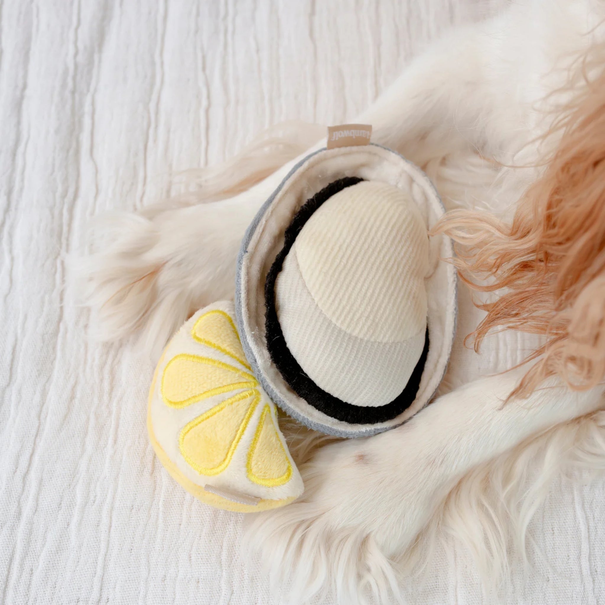 Overhead view of the plush corduroy oyster shell and yellow lemon slice toy resting between a long-haired dog's white paws on a crinkled white blanket.