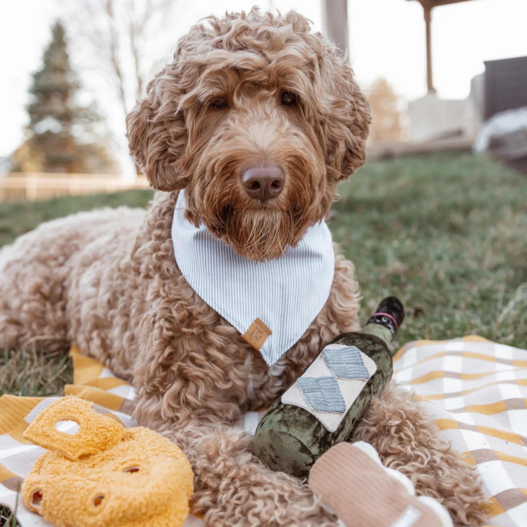 A fluffy golden doodle wearing a striped bandana lays on a plaid picnic blanket outdoors next to the velvet Merlot wine bottle dog toy and a plush cheese toy.
