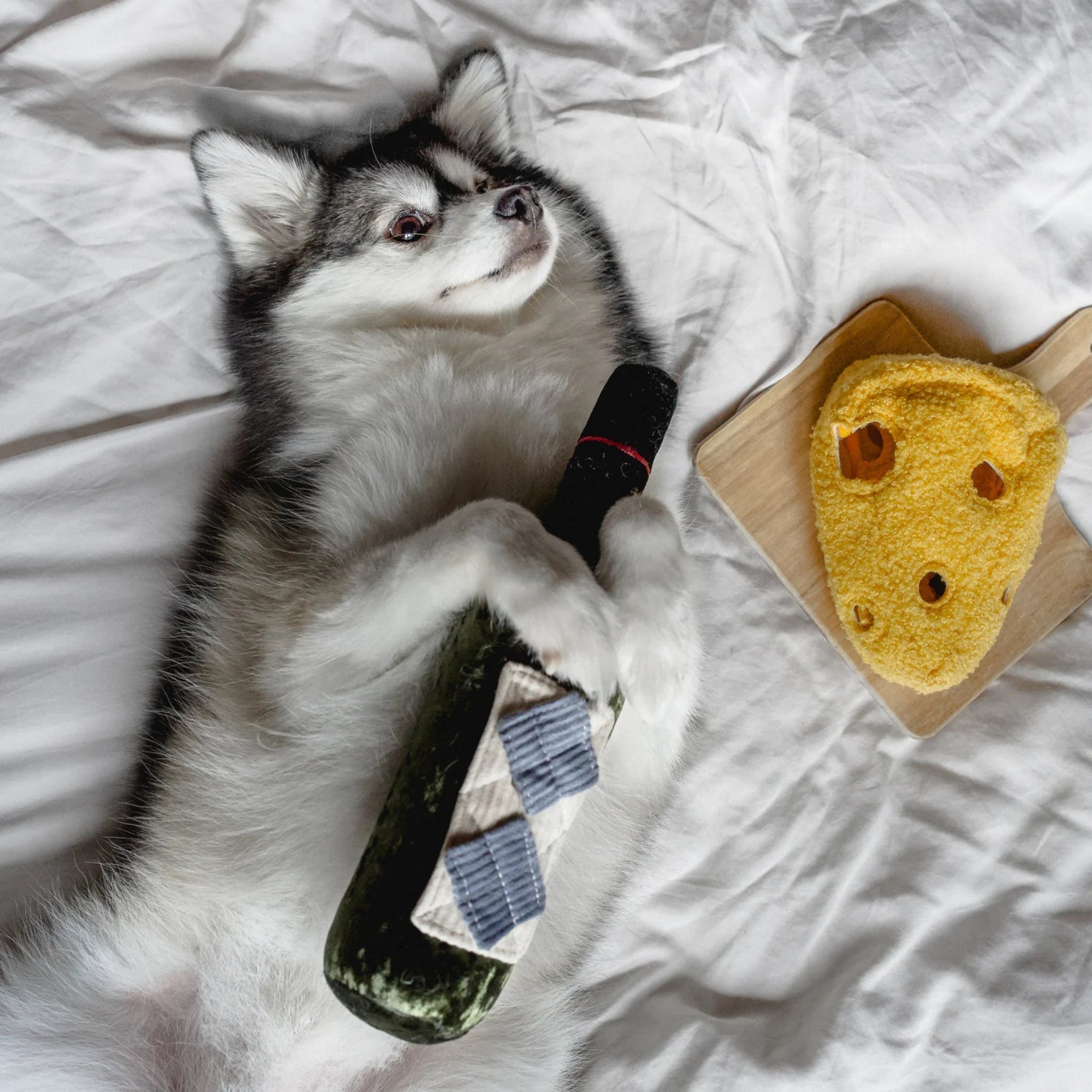 A small black and white Pomeranian husky mix dog lies on its back on white bedding, happily hugging the plush green Merlot wine bottle toy next to a plush cheese slice on a wooden board.