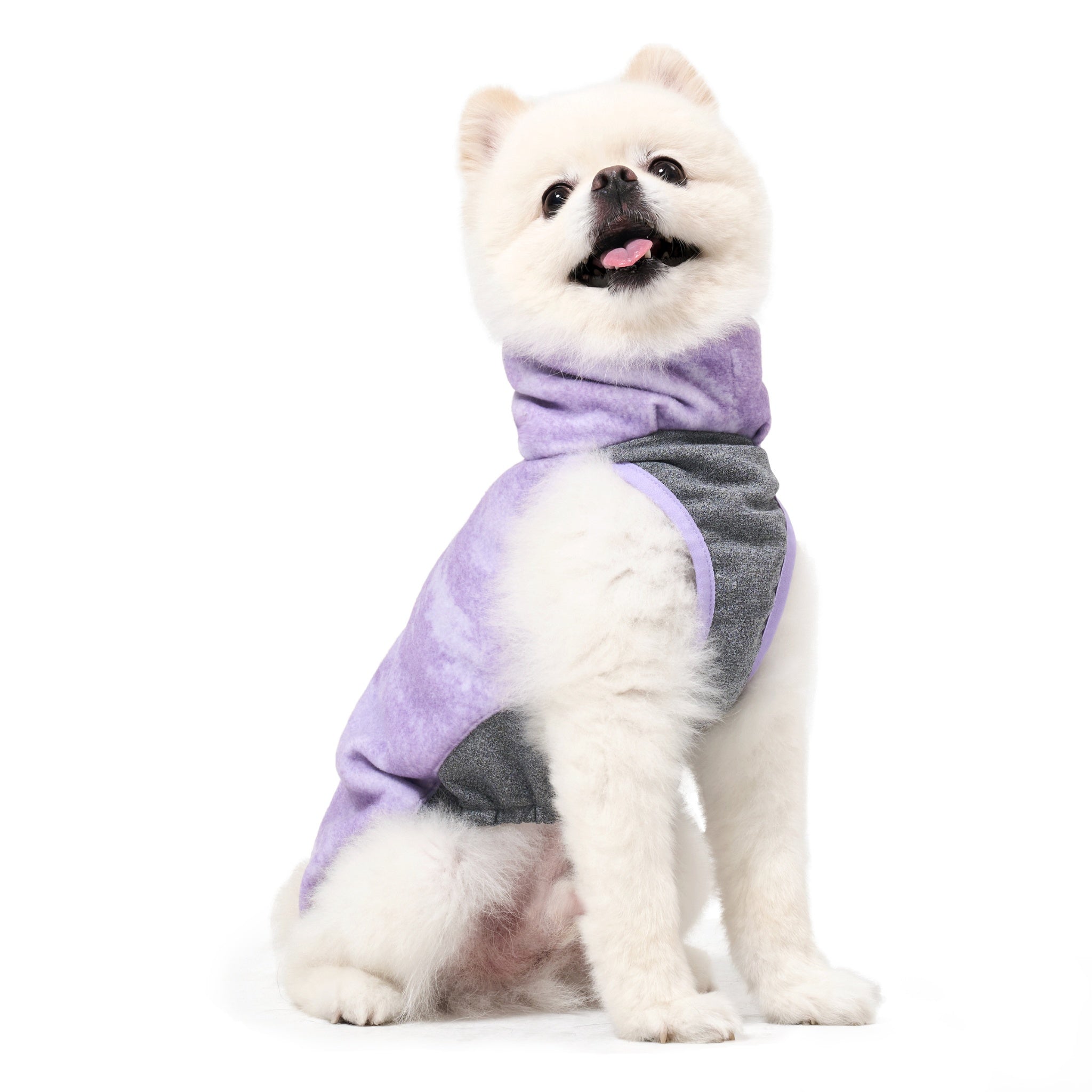 Front three-quarter view of a fluffy white Pomeranian sitting down, showing the cozy high collar coverage and deep chest protection of the purple tie-dye Merlot Shelter dog jacket.